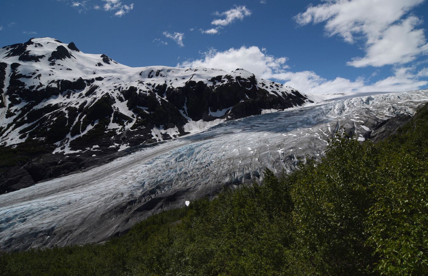 A view of Exit glacier, a large glacier that comes from a huge ice sheet in Kenai Fjords in Alaska. Forest in front and mountains behind.