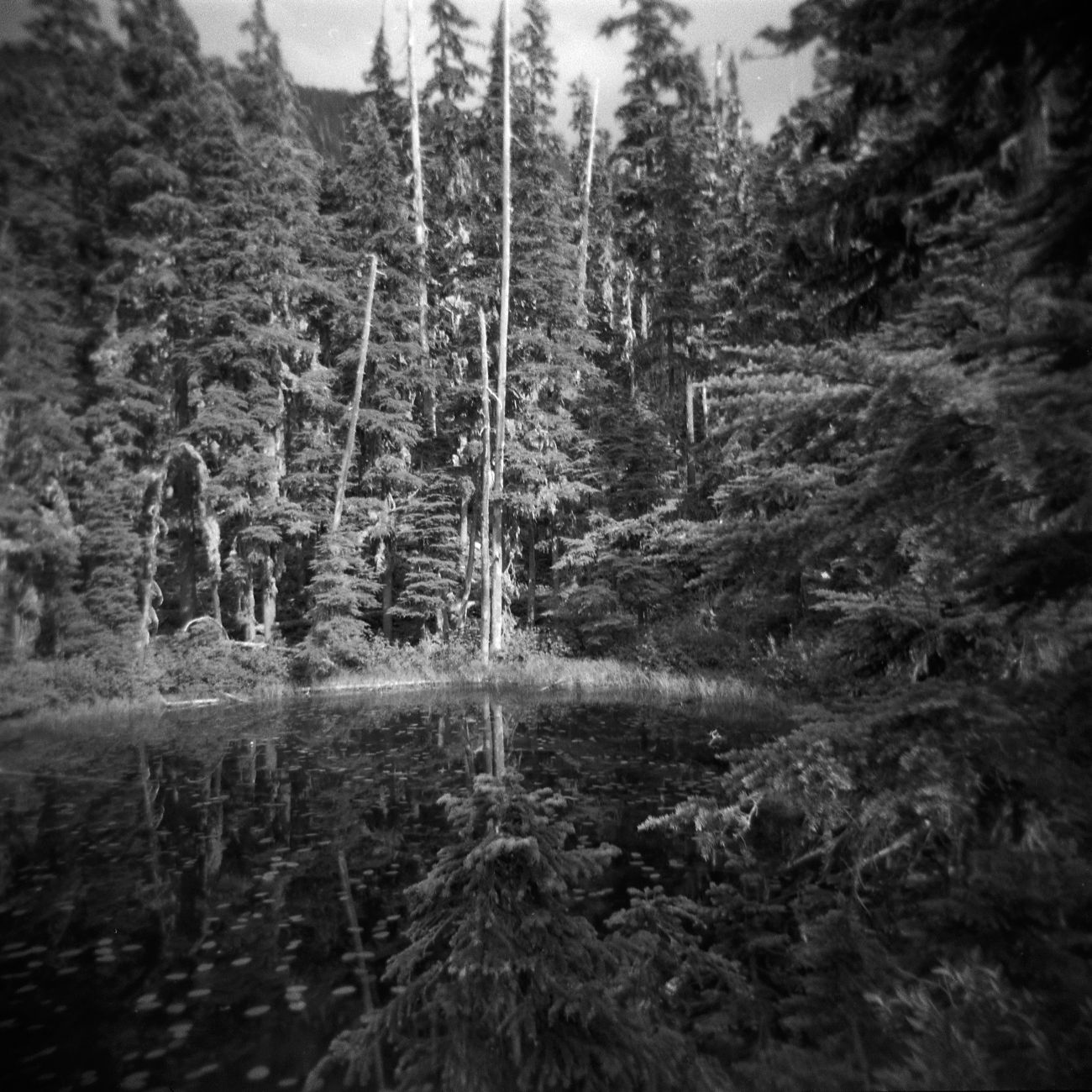A black and white film Holga photograph of dark small lake in the forest on the Pacific Crest Trail.