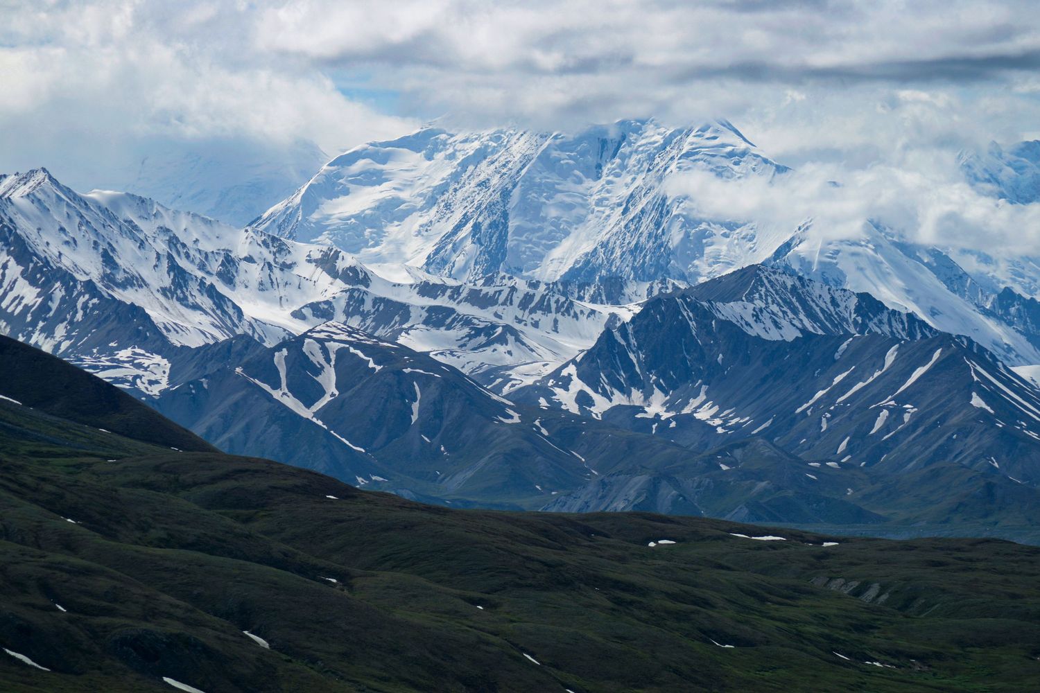 A closeup of Denali, a gigantic glacially clad mountain, with sloping open tundra in the foreground.
