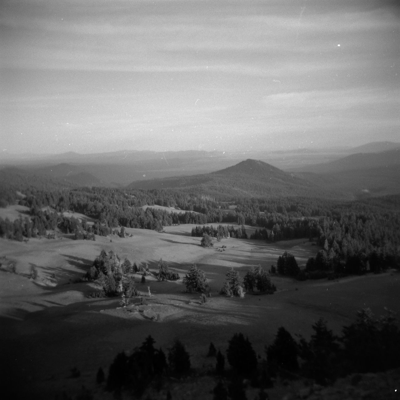 A black and white film Holga photograph of the landscape near Crater Lake in Oregon.