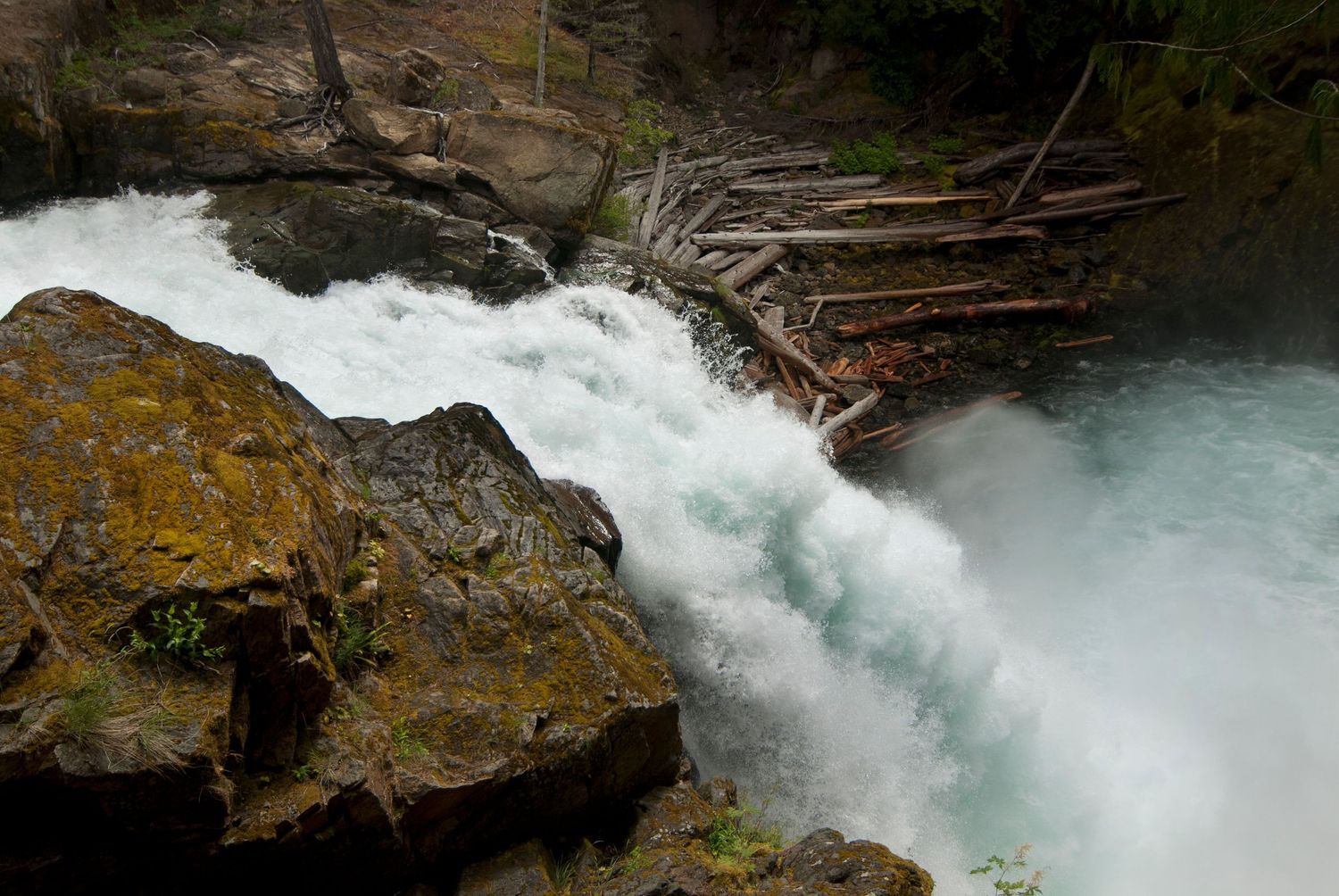 A rushing view of the Ohanapecosh river as it rushes over a ledge near Silver Falls in Mount Rainier National Park.