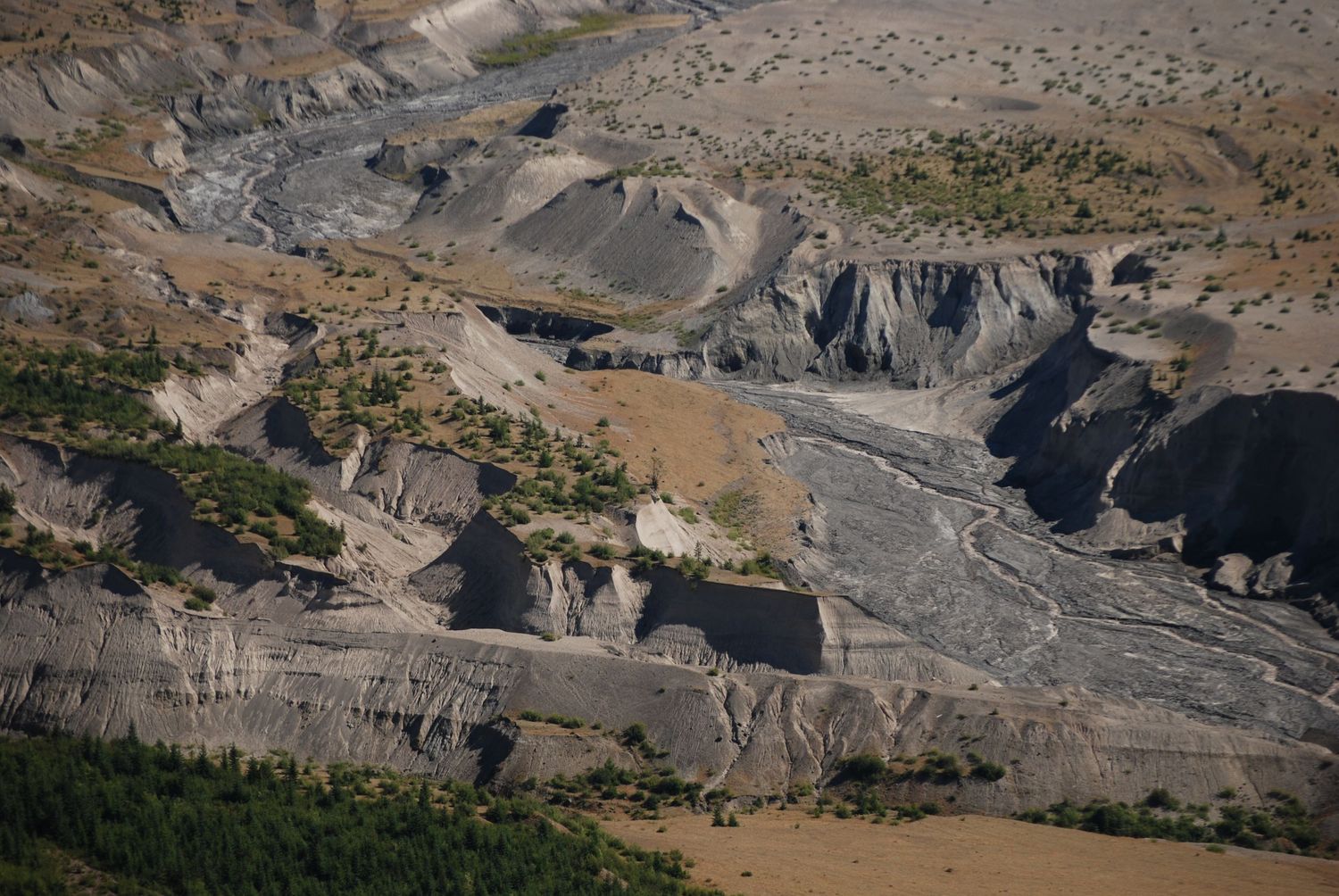 A view of a river cutting through layers of ash in the blast zone north of Mount St. Helens or Loowit, in summer with sparse meadows above.