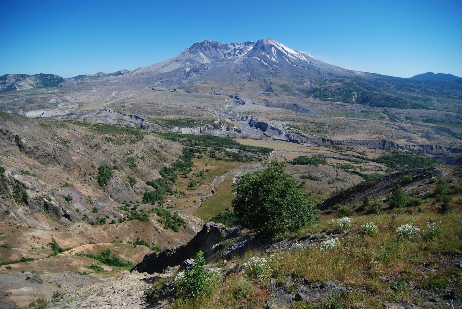 A wide view of the re-growing north side of Mount St. Helens in the summer showing the large blast zone where the mountain erupted in 1980.