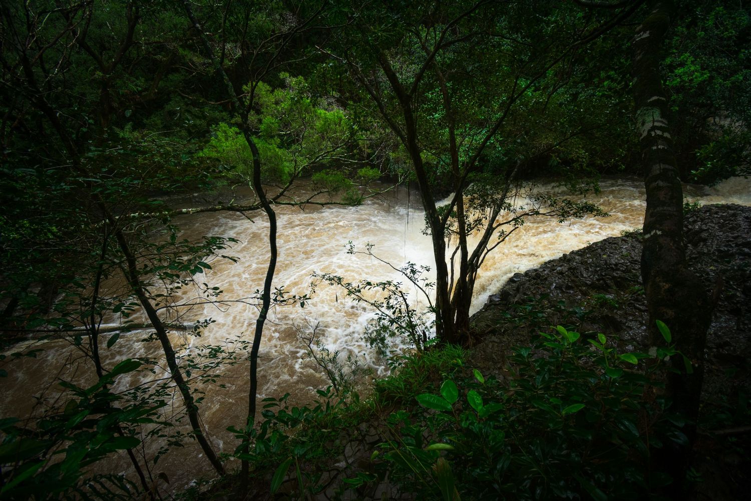 A dark vignette of a well flowing river in the rainforest on Maui.
