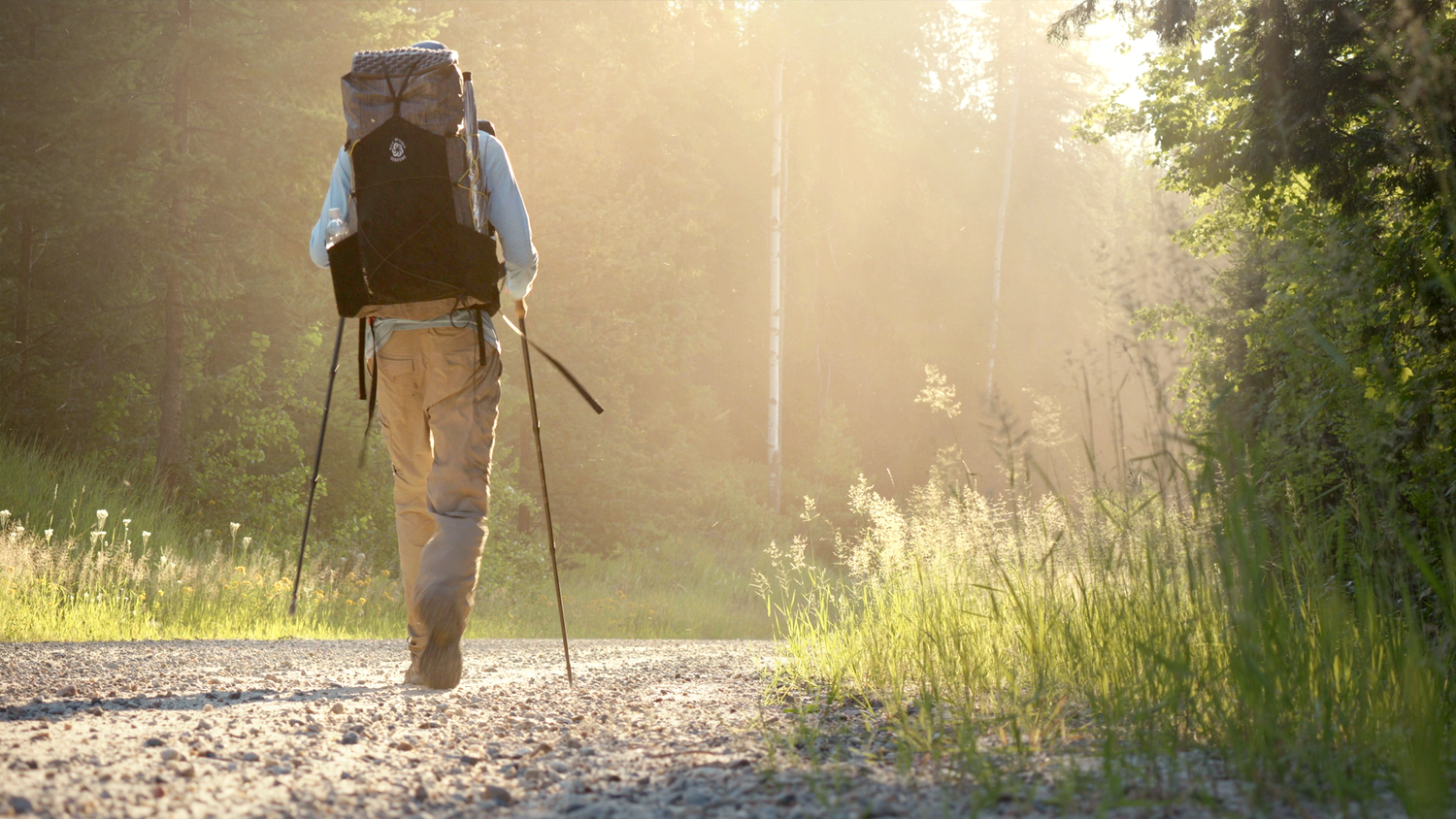 A long distance backpacker with hiking poles walks on a gravel road on the Pacific Northwest Trail in a forest into bright summer light.