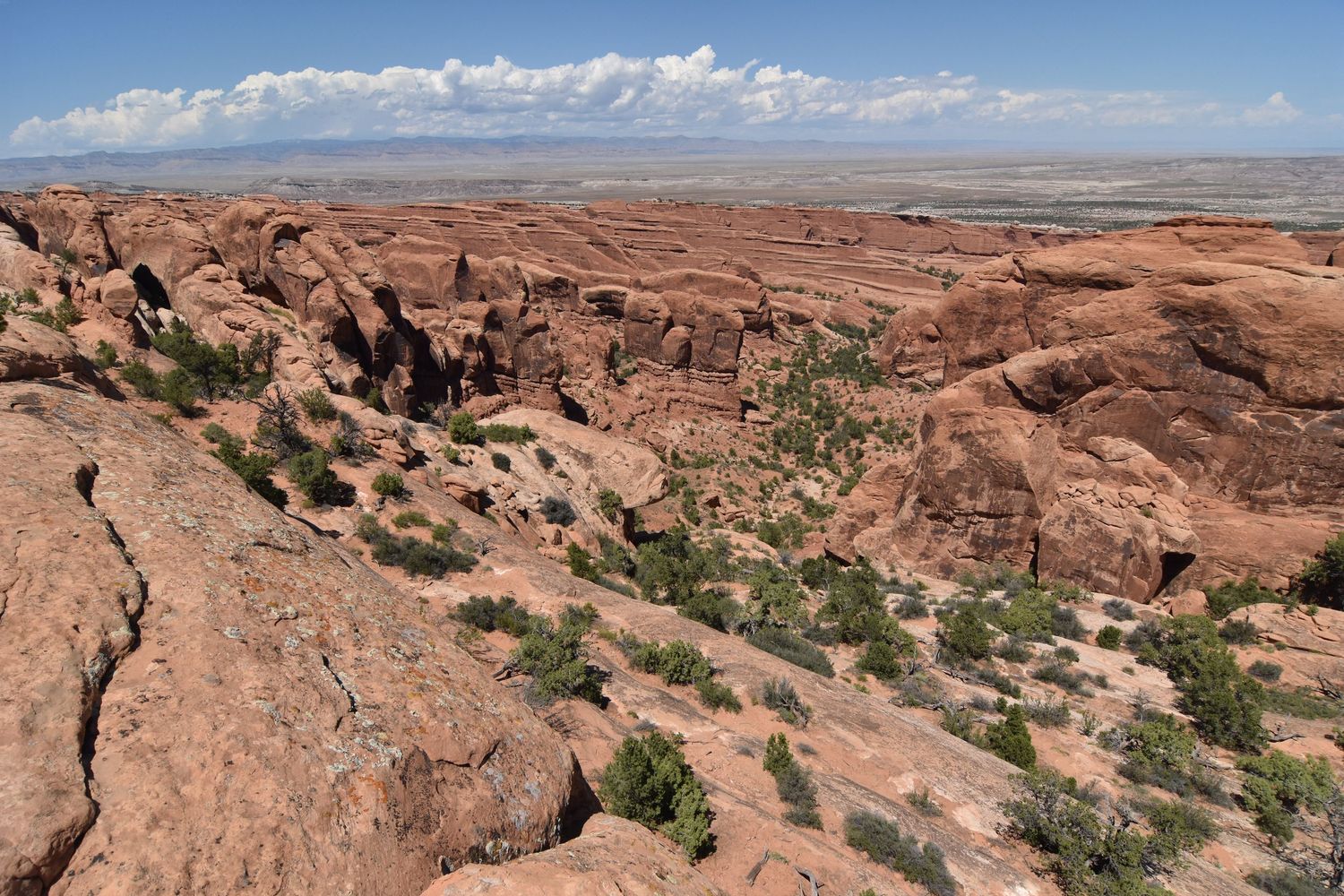Panoramic view of Arches National Park on a clear day with a clouds in the distance, countless sandstone fins and canyons arrayed below.