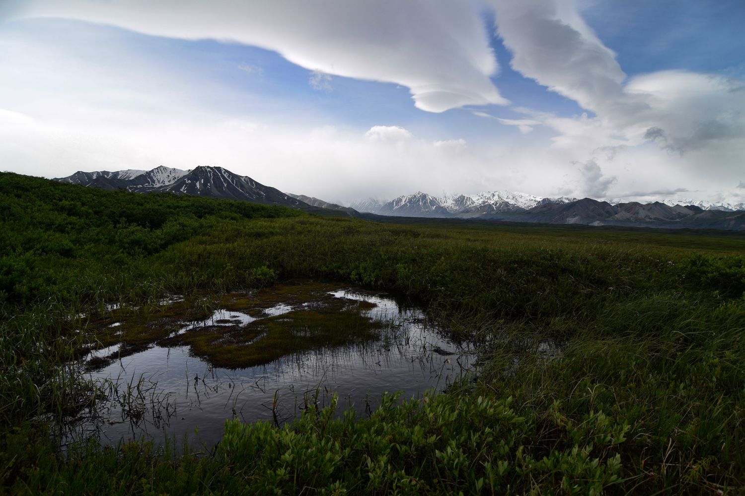 An open mossy and boggy tundra scene with bright white cloud formations and layers making unusual patterns in the sky; mountains far off.