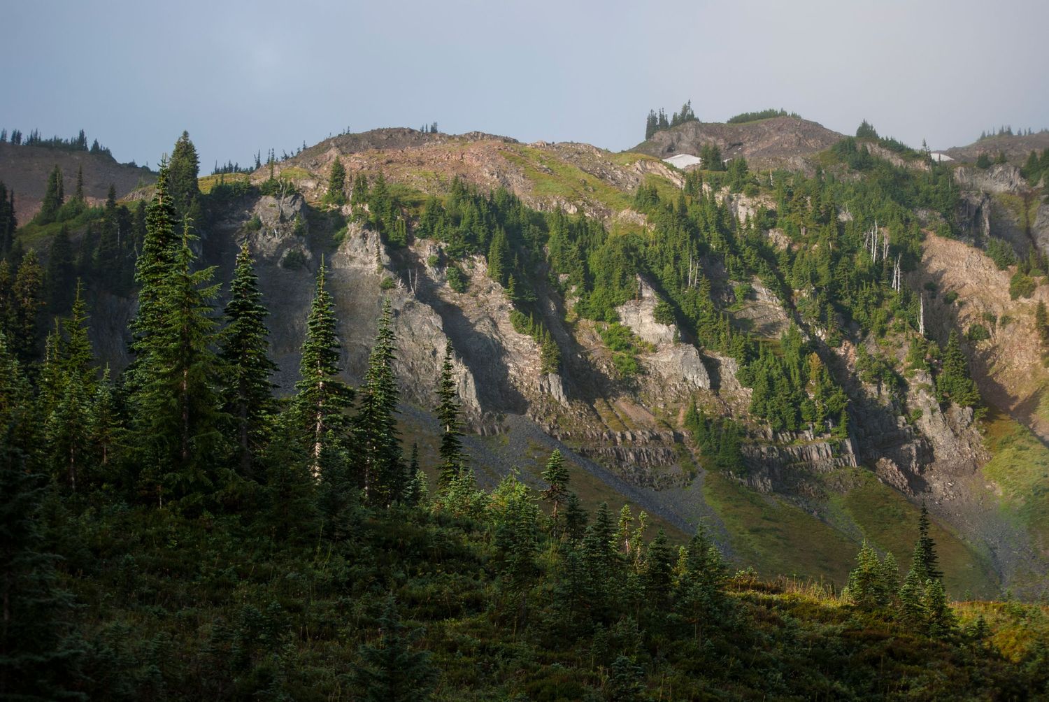 A sunlit rocky hillside near Indian Bar in Mount Rainier National Park.