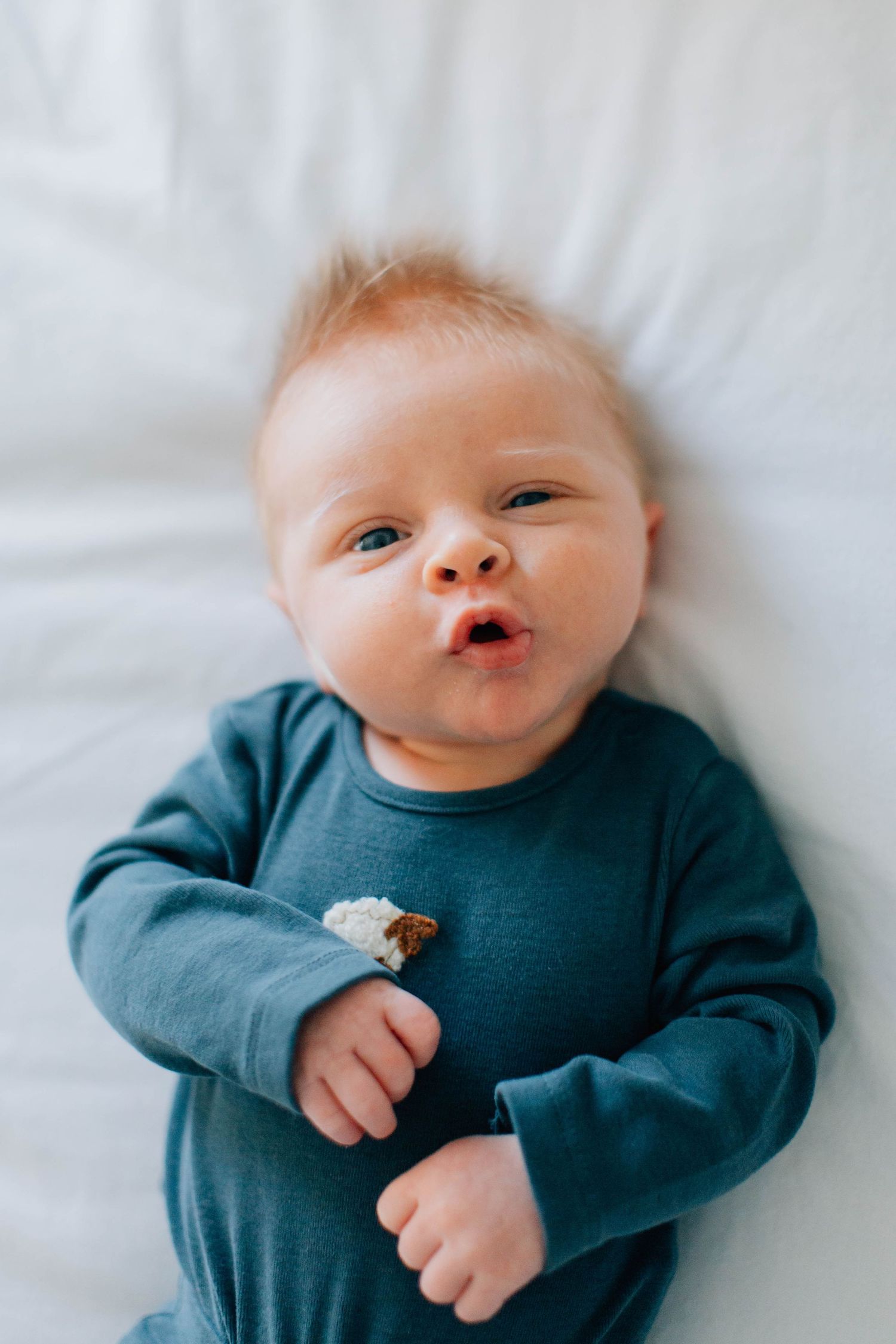 Newborn Photography – Bucks County, PA – The Drake Family