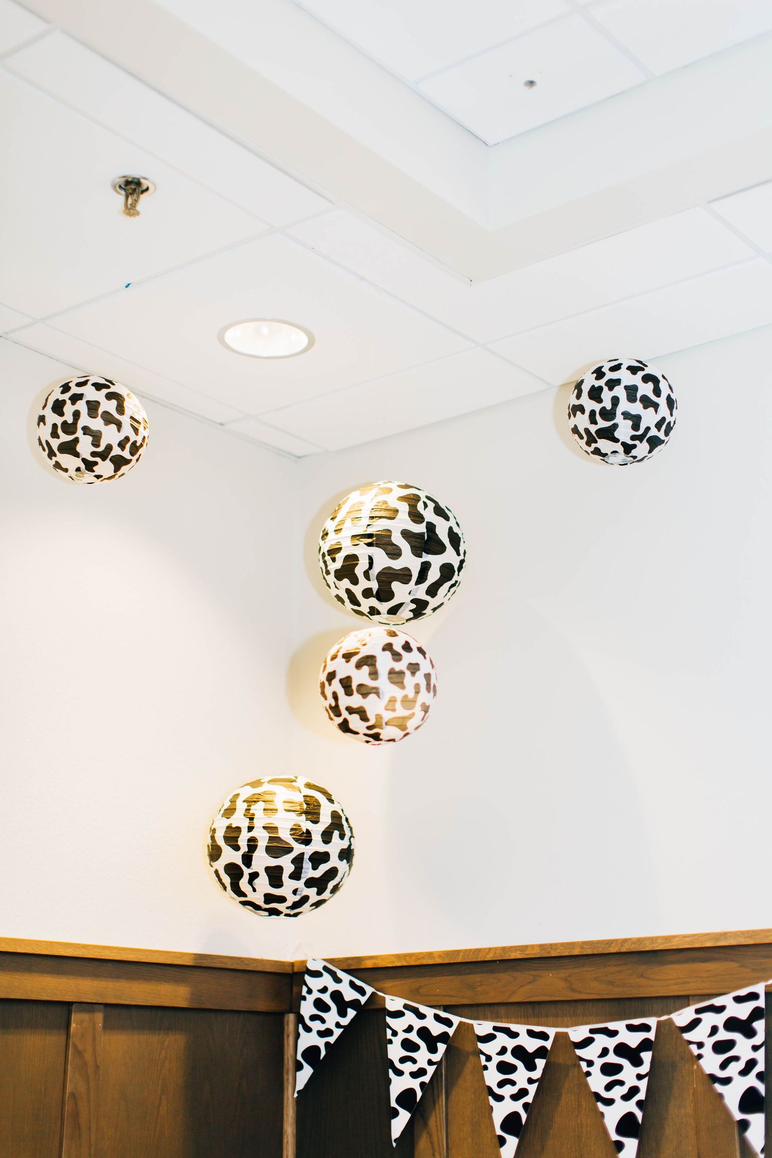 Branding Photography – Montgomery County, PA