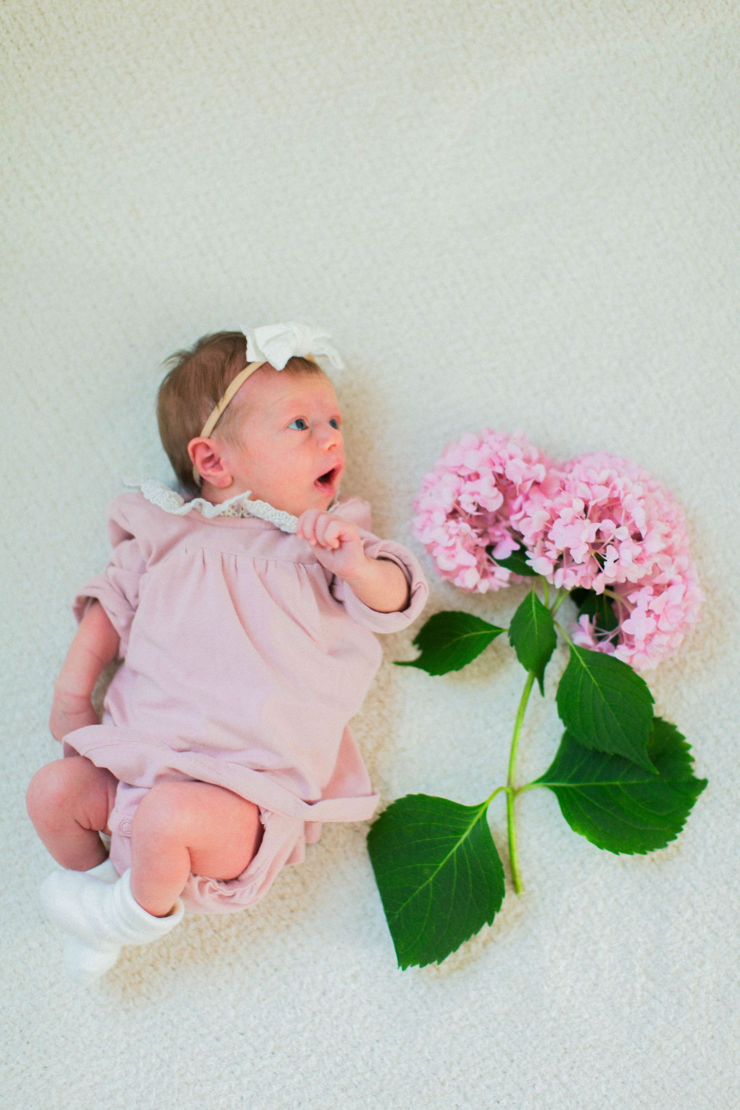 Newborn Photography – Bucks County, PA