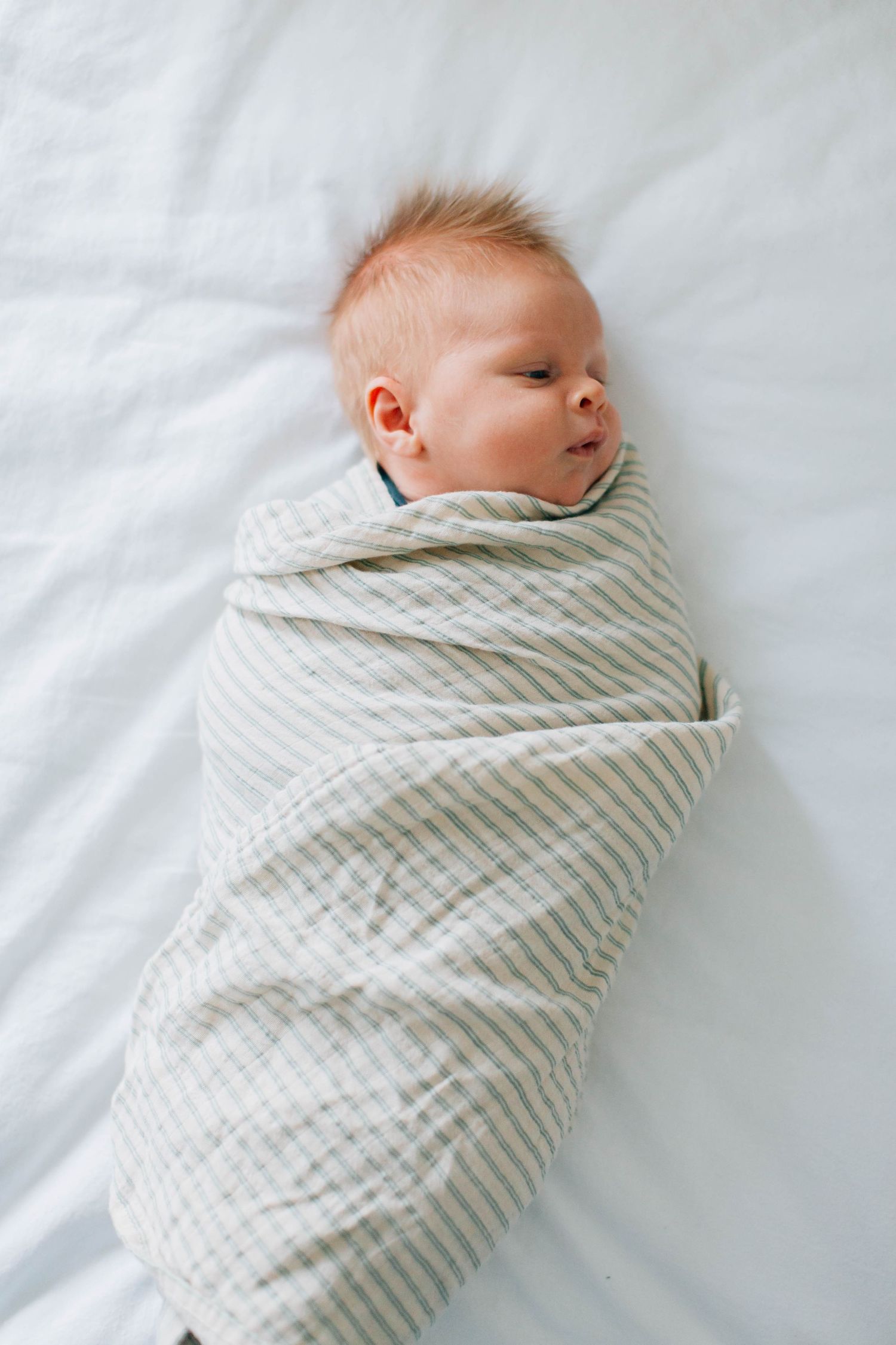 Newborn Photography – Bucks County, PA – The Drake Family
