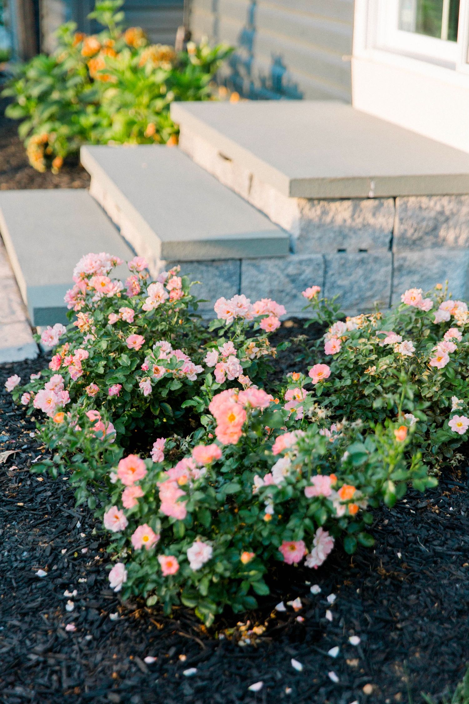 Branding Photography – Bucks County, PA – Landscaping