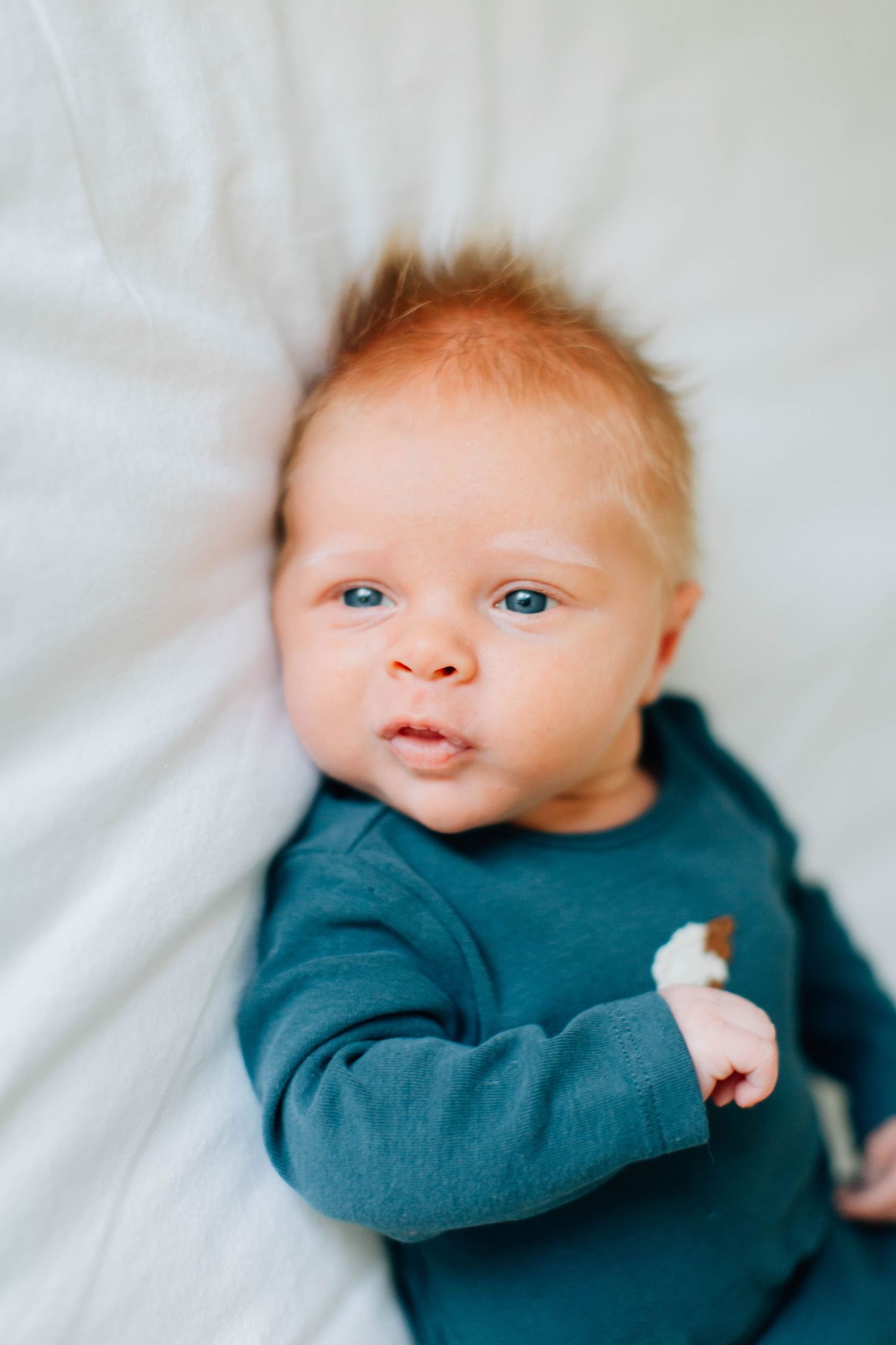 Newborn Photography – Bucks County, PA – The Drake Family