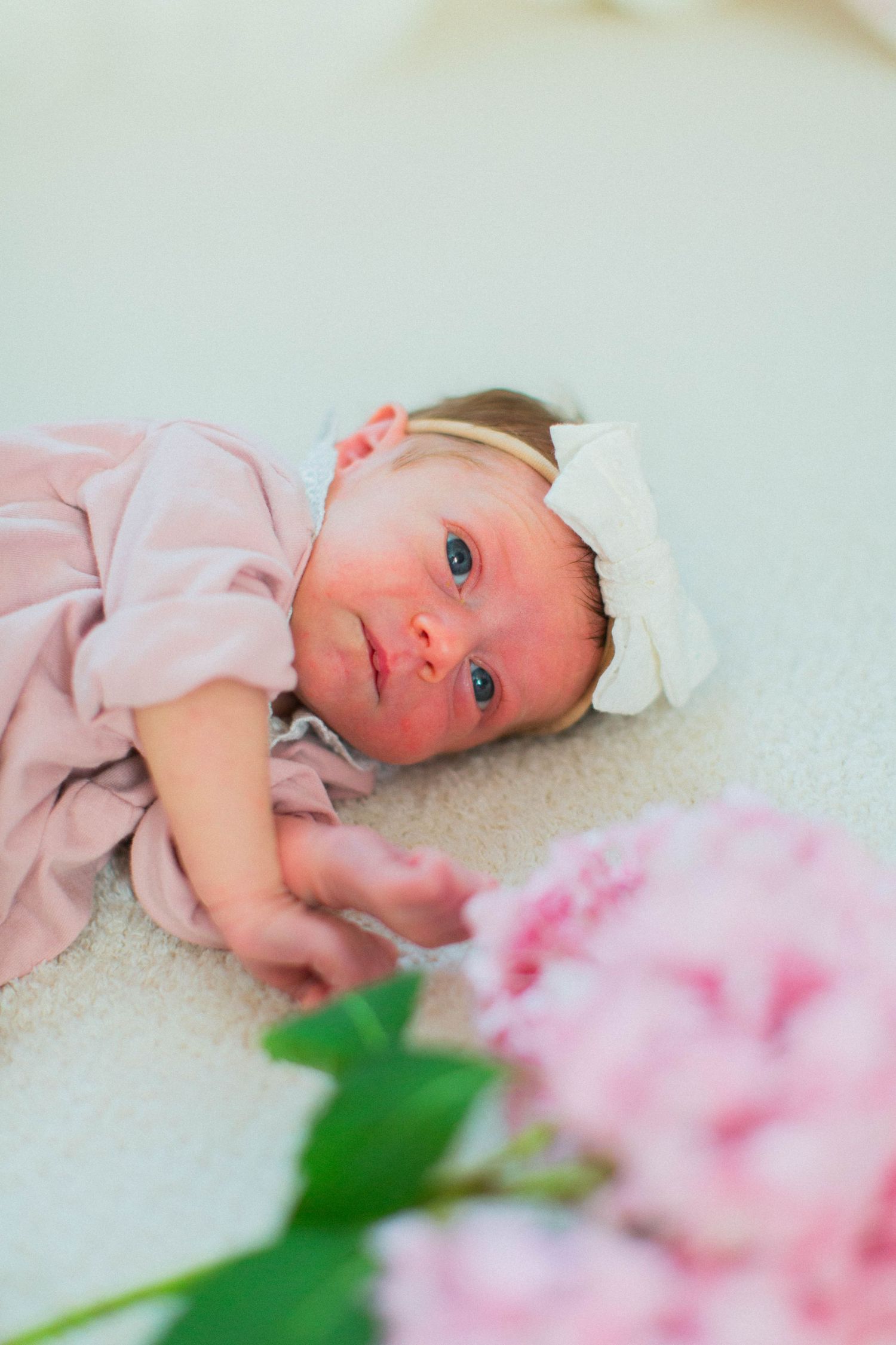 Newborn Photography – Bucks County, PA