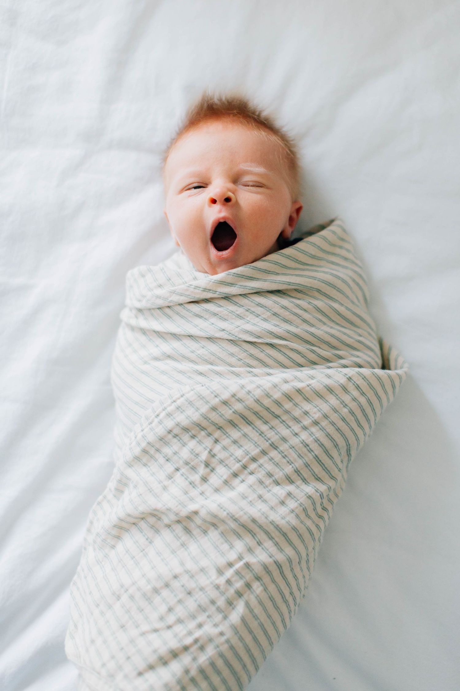 Newborn Photography – Bucks County, PA – The Drake Family