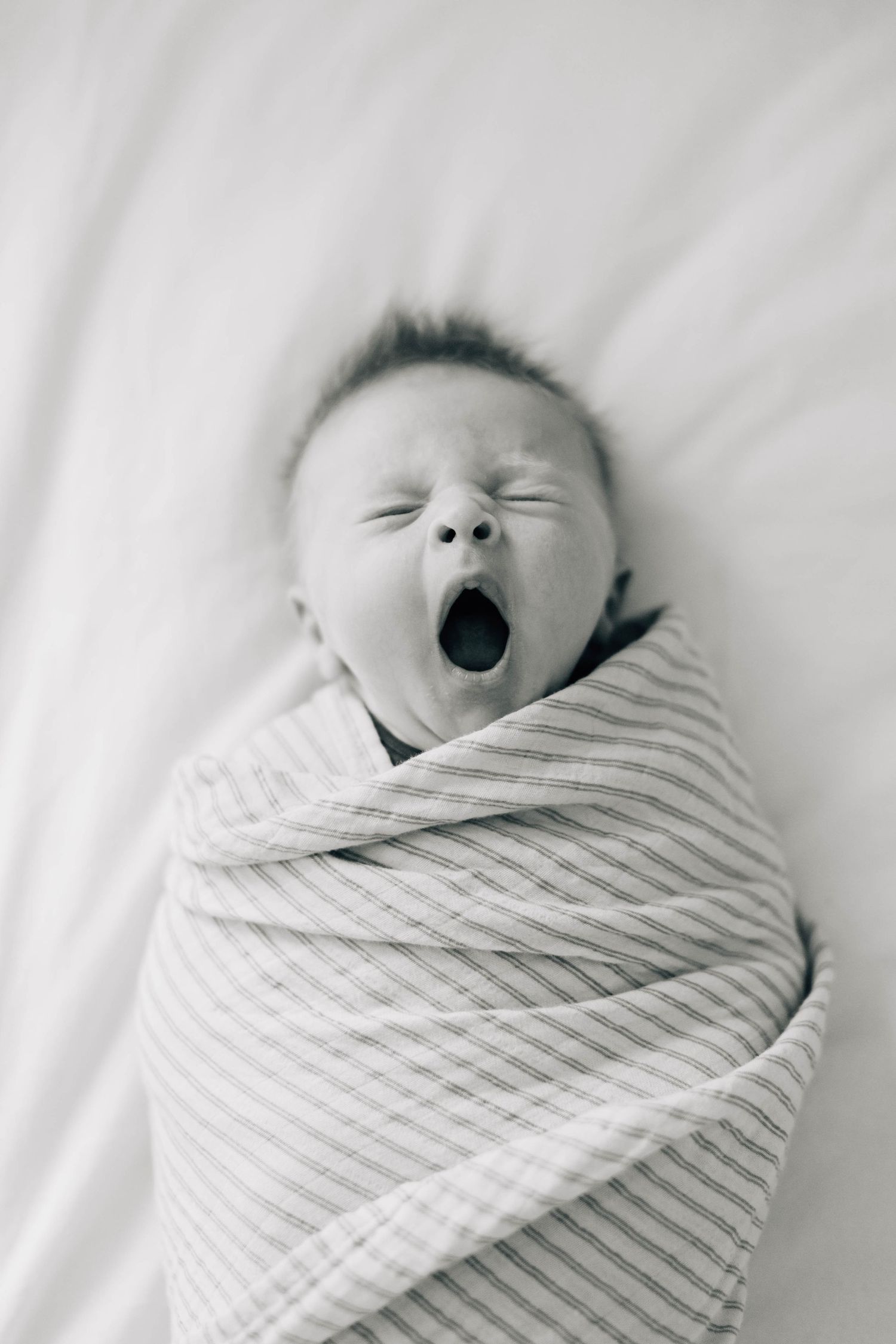 Newborn Photography – Bucks County, PA – The Drake Family