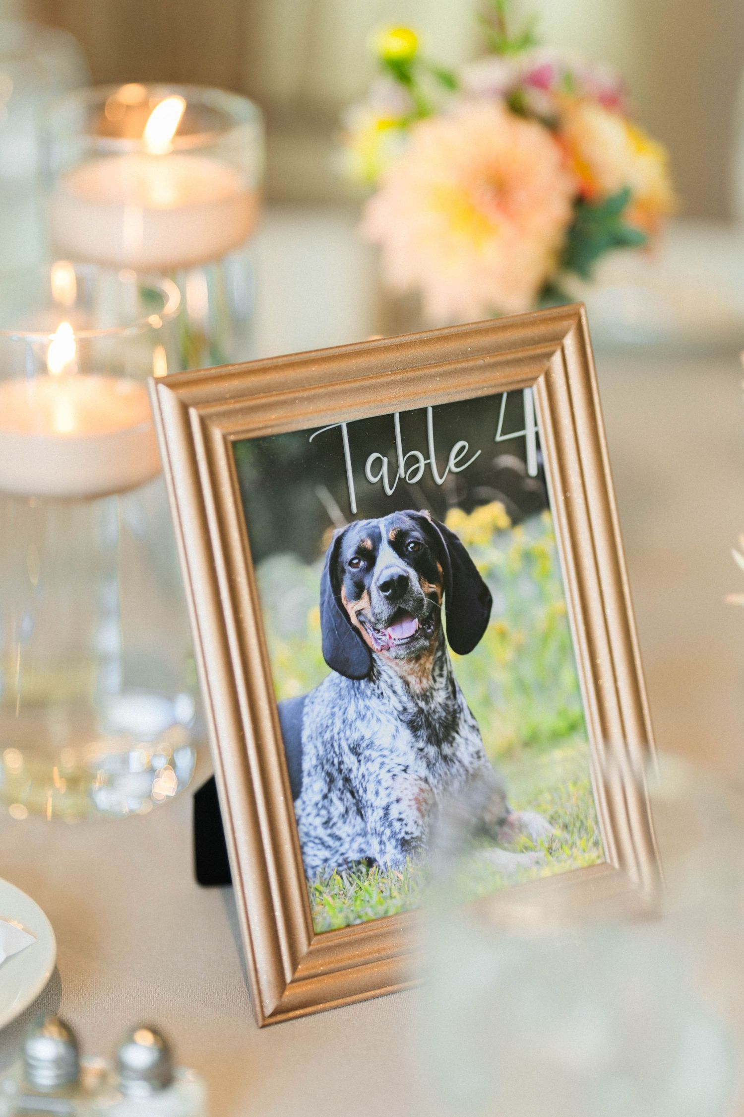 Wedding Photography – Bucks County, PA – Inn at Barley Sheaf Wedding
