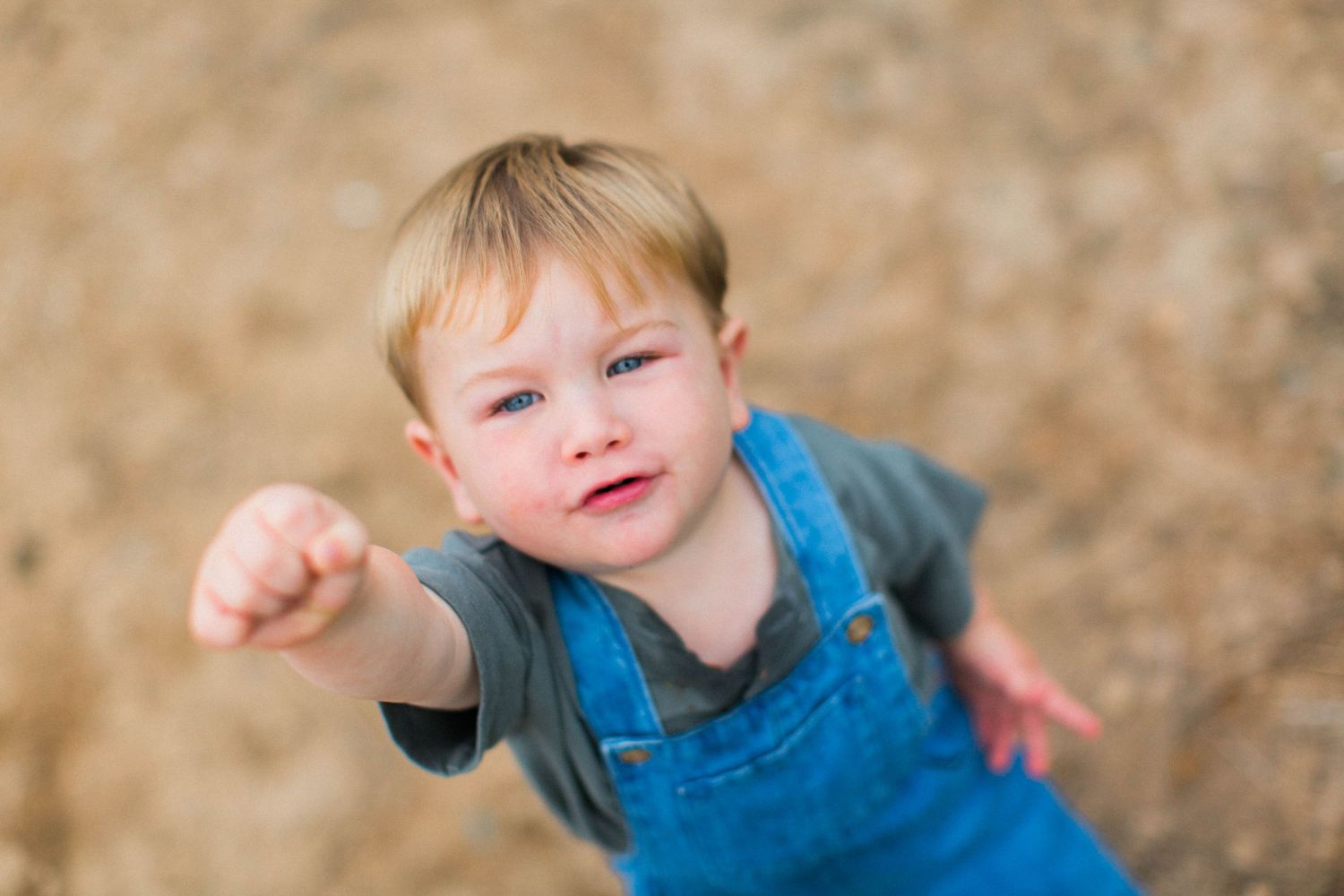 Family Photography – Doylestown, PA