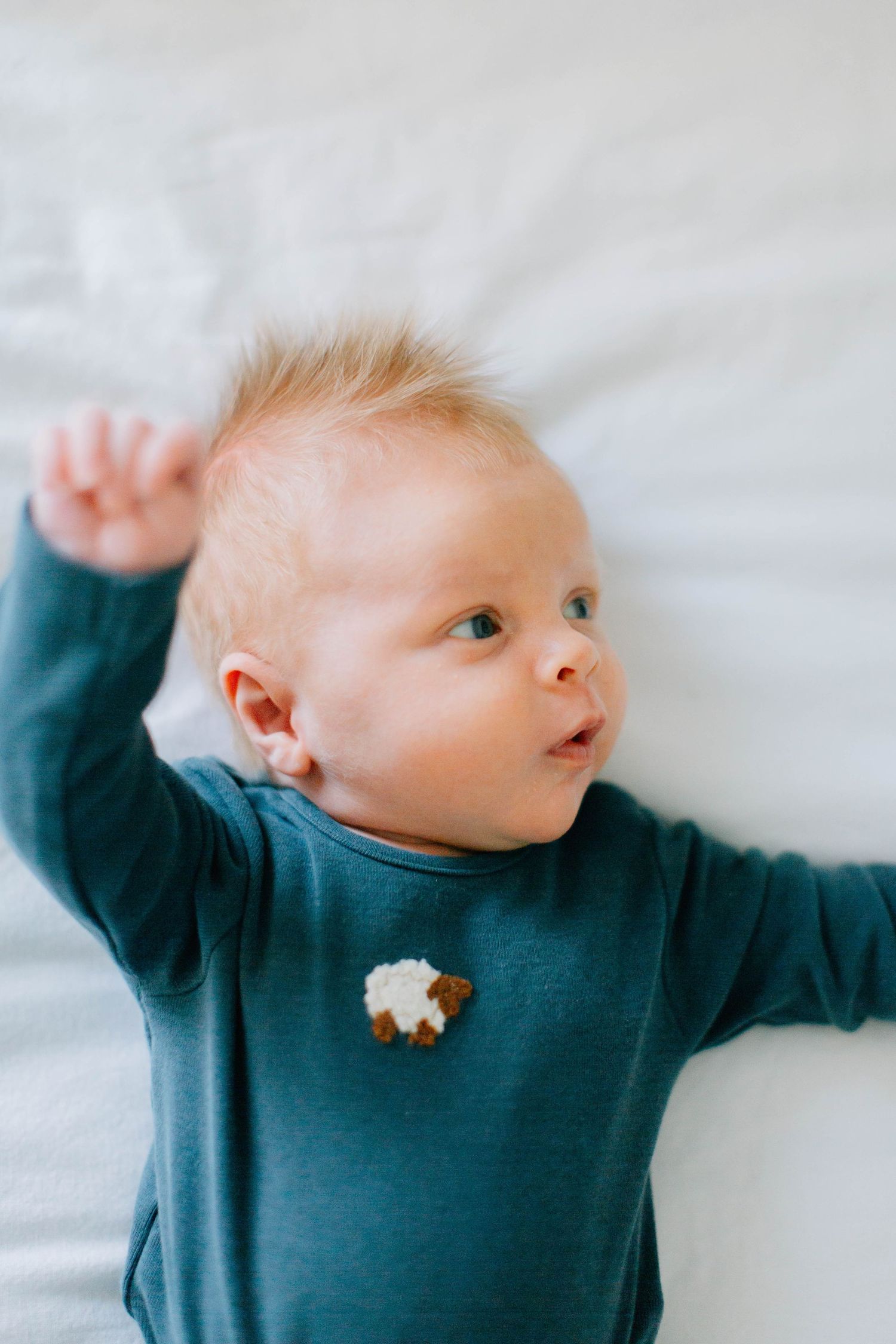 Newborn Photography – Bucks County, PA – The Drake Family