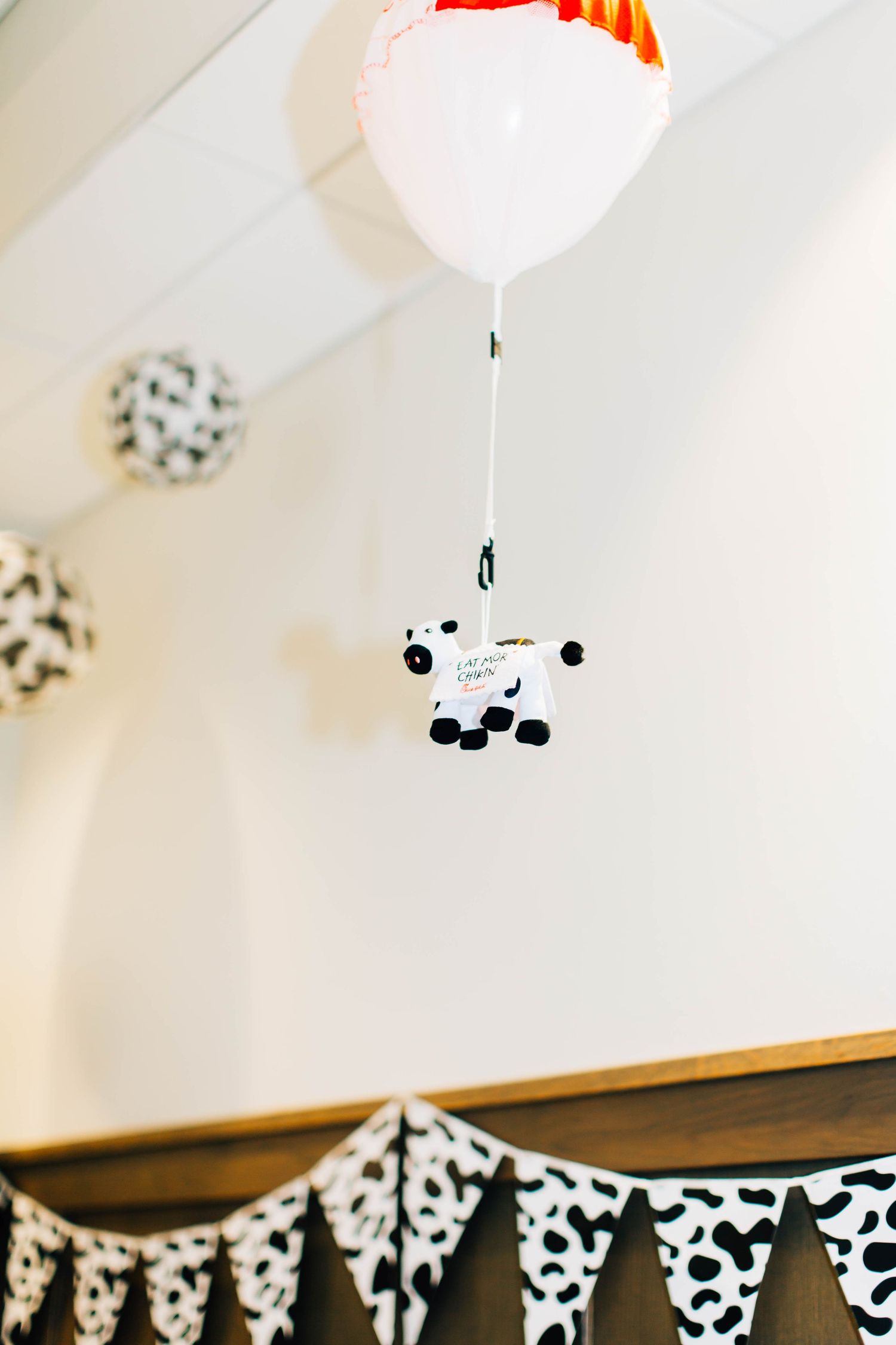Branding Photography – Montgomery County, PA