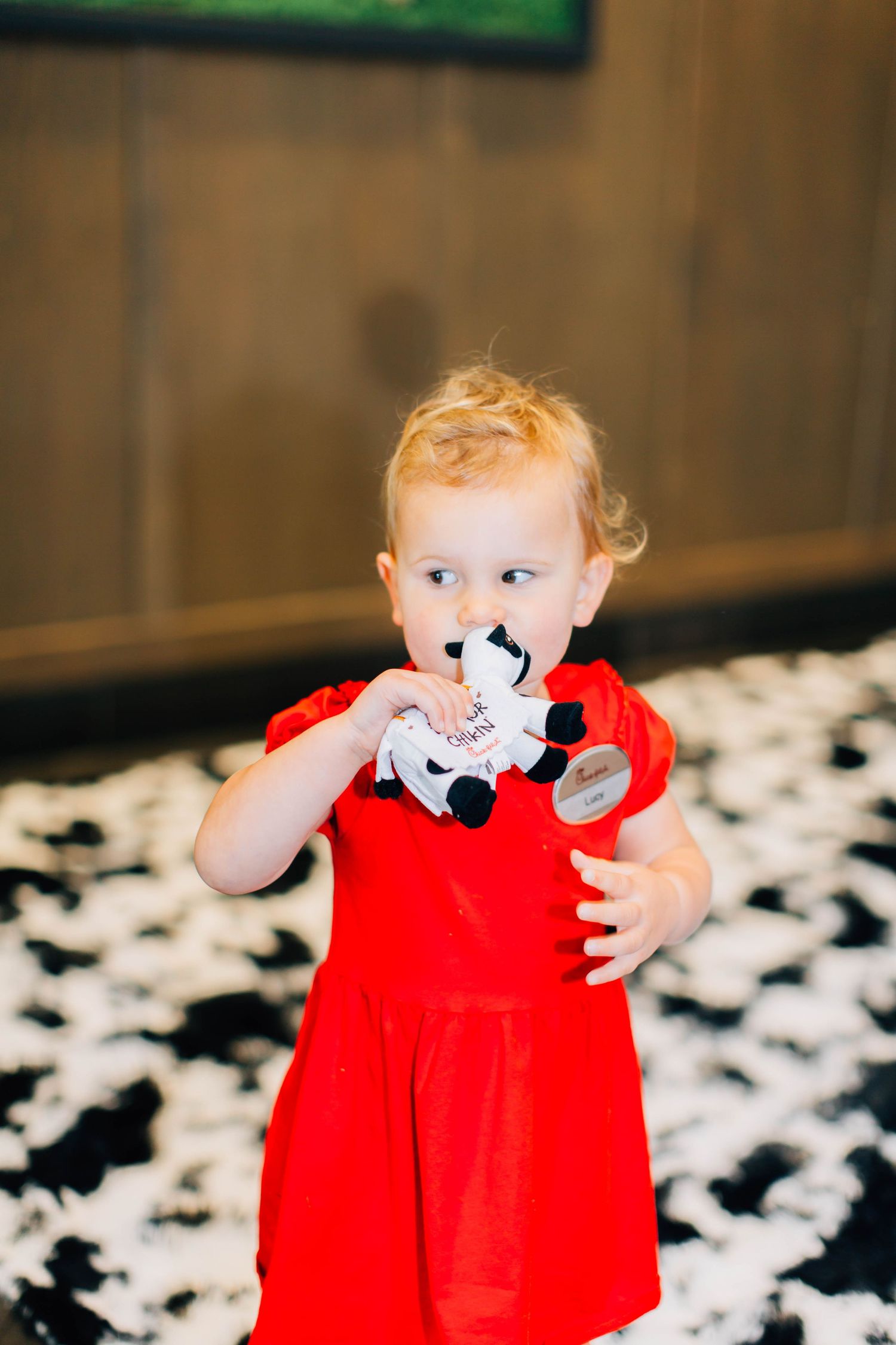 Branding Photography – Montgomery County, PA