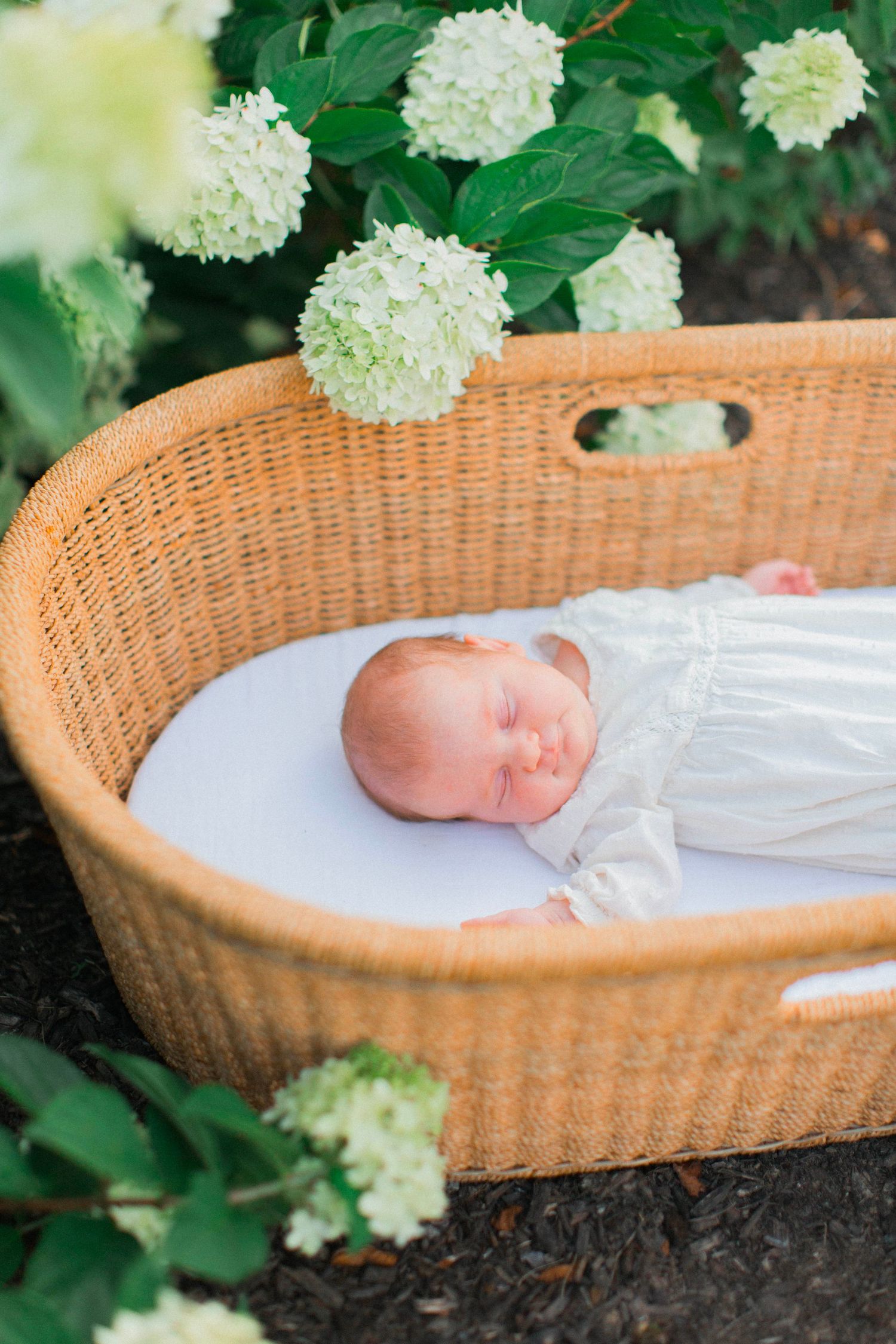 Newborn Photography – Bucks County, PA