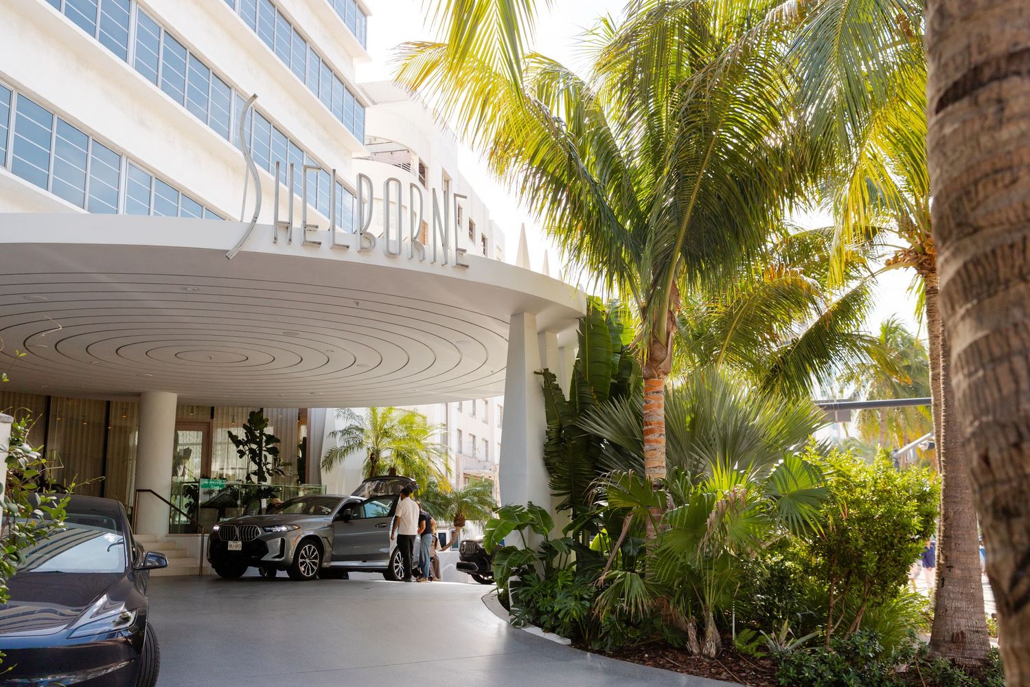 Palm tree-lined exterior of a modern white resort building with glass balconies.
