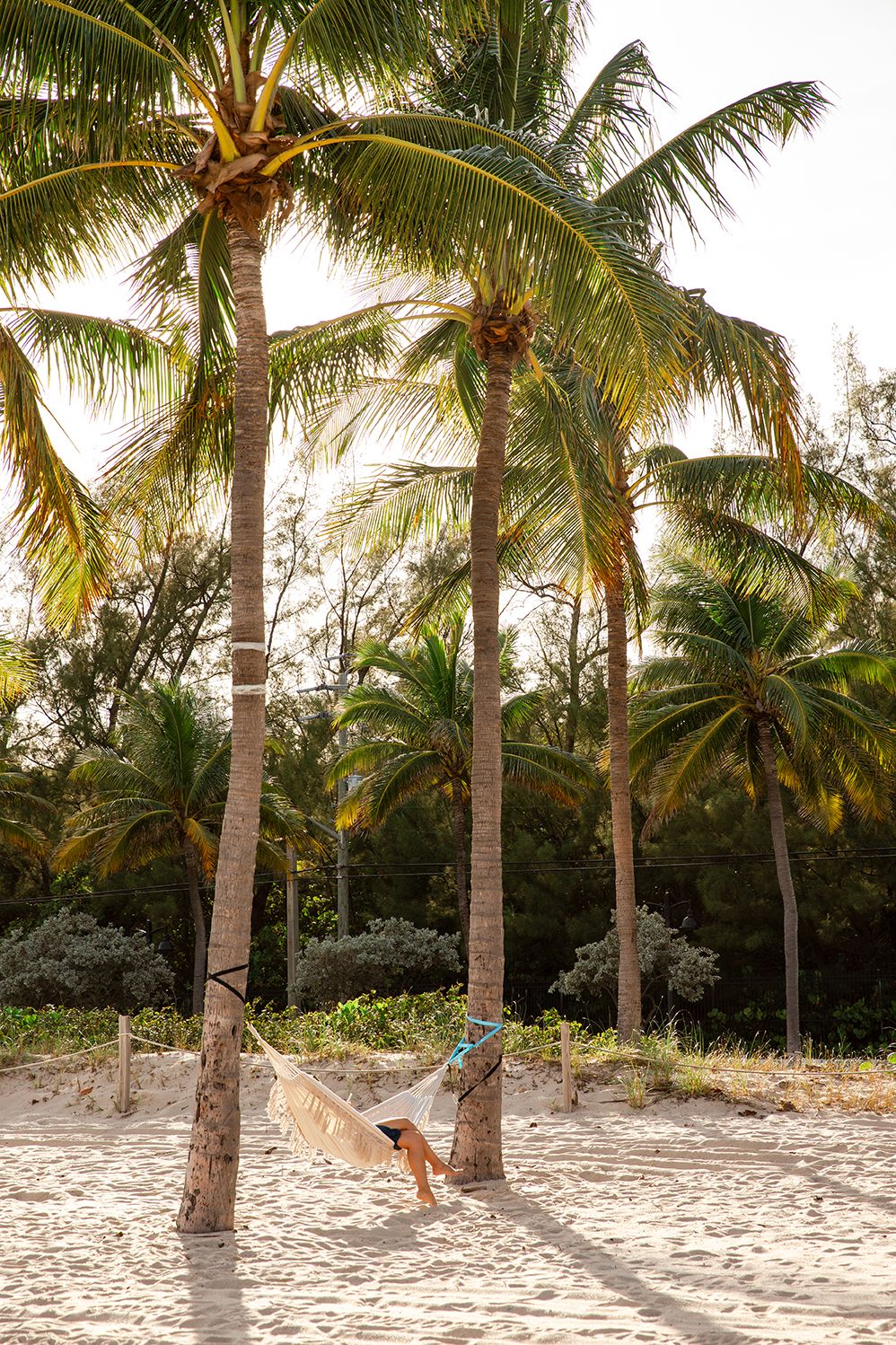 Row of palm trees on a white sandy beach creating peaceful tropical scenery.