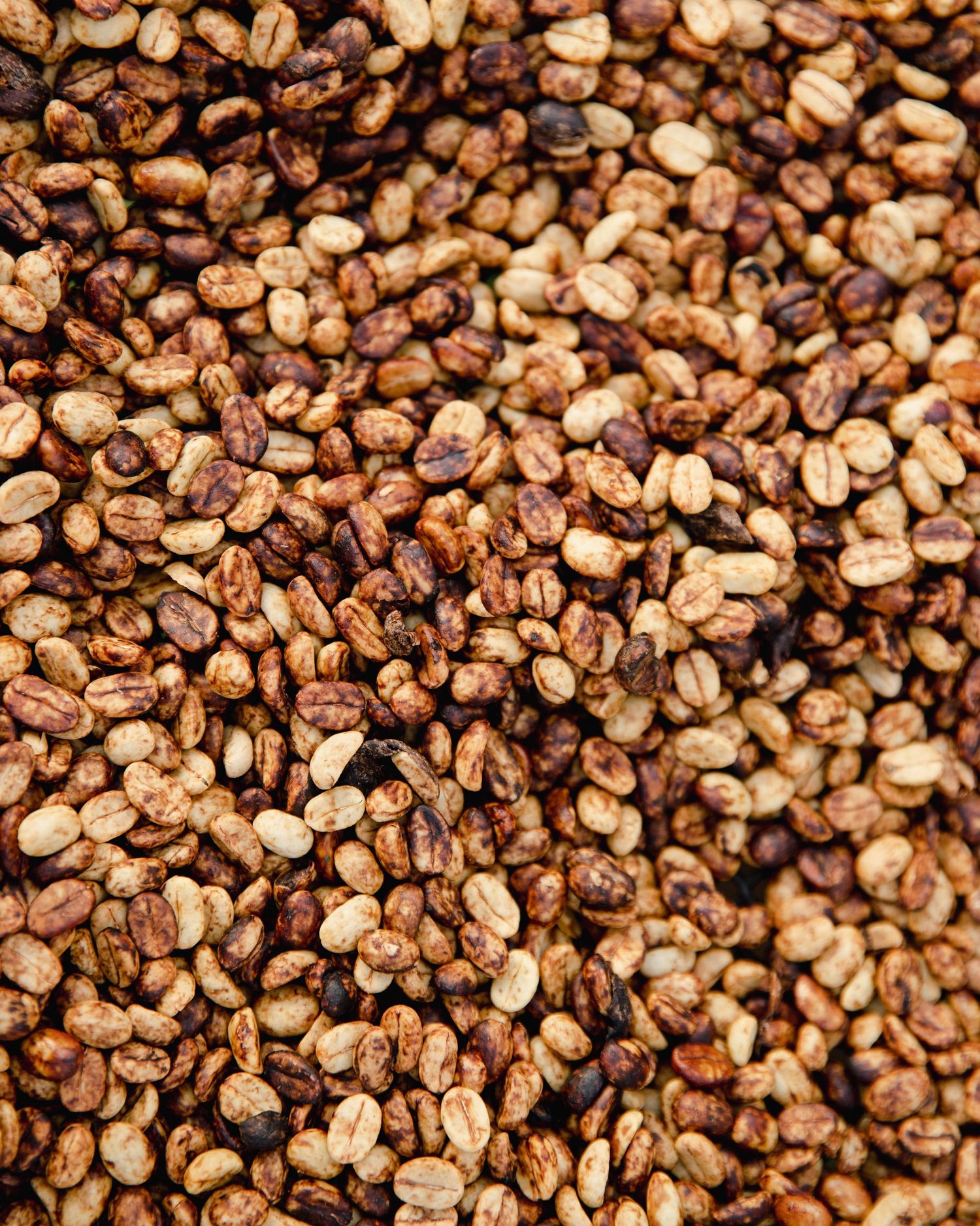Close-up of roasted coffee beans showing a mix of light and dark brown colors creating a textured background pattern.