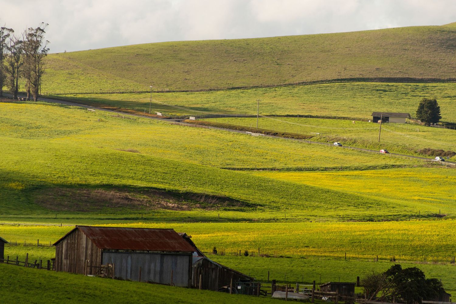 Rolling green hills with rustic barn and grazing cattle in pastoral landscape.