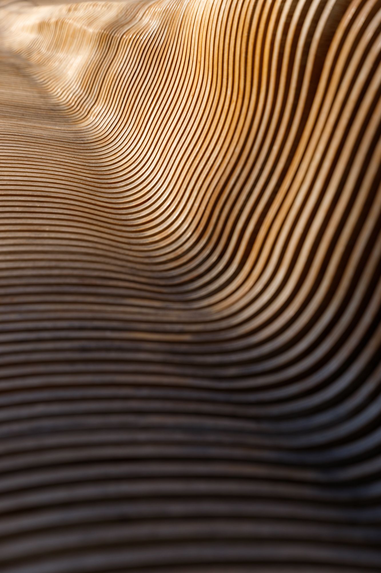 Close-up of curved wooden slats forming elegant wave patterns with warm golden tones and dramatic shadows.