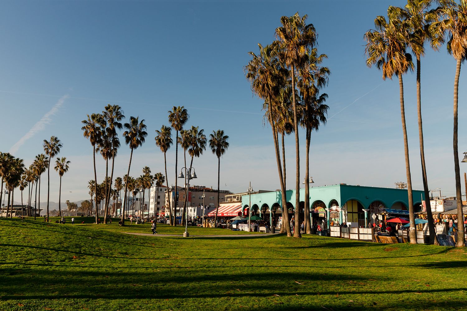 Palm trees line a sunny green park near colorful shops at Venice Beach, Los Angeles, under a clear blue sky.
