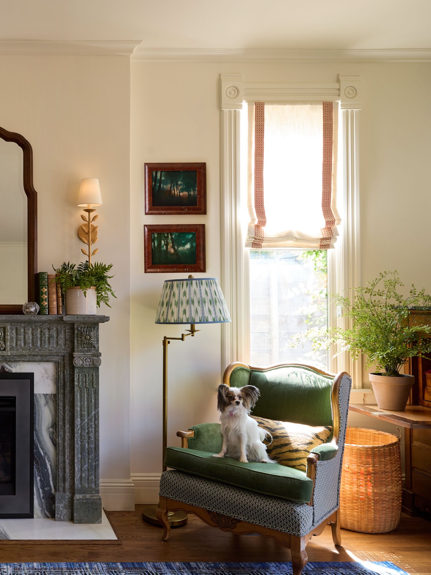 Small papillon dog sitting on a green upholstered armchair in a cozy living room with a marble fireplace, framed art, and a sunlit window.
