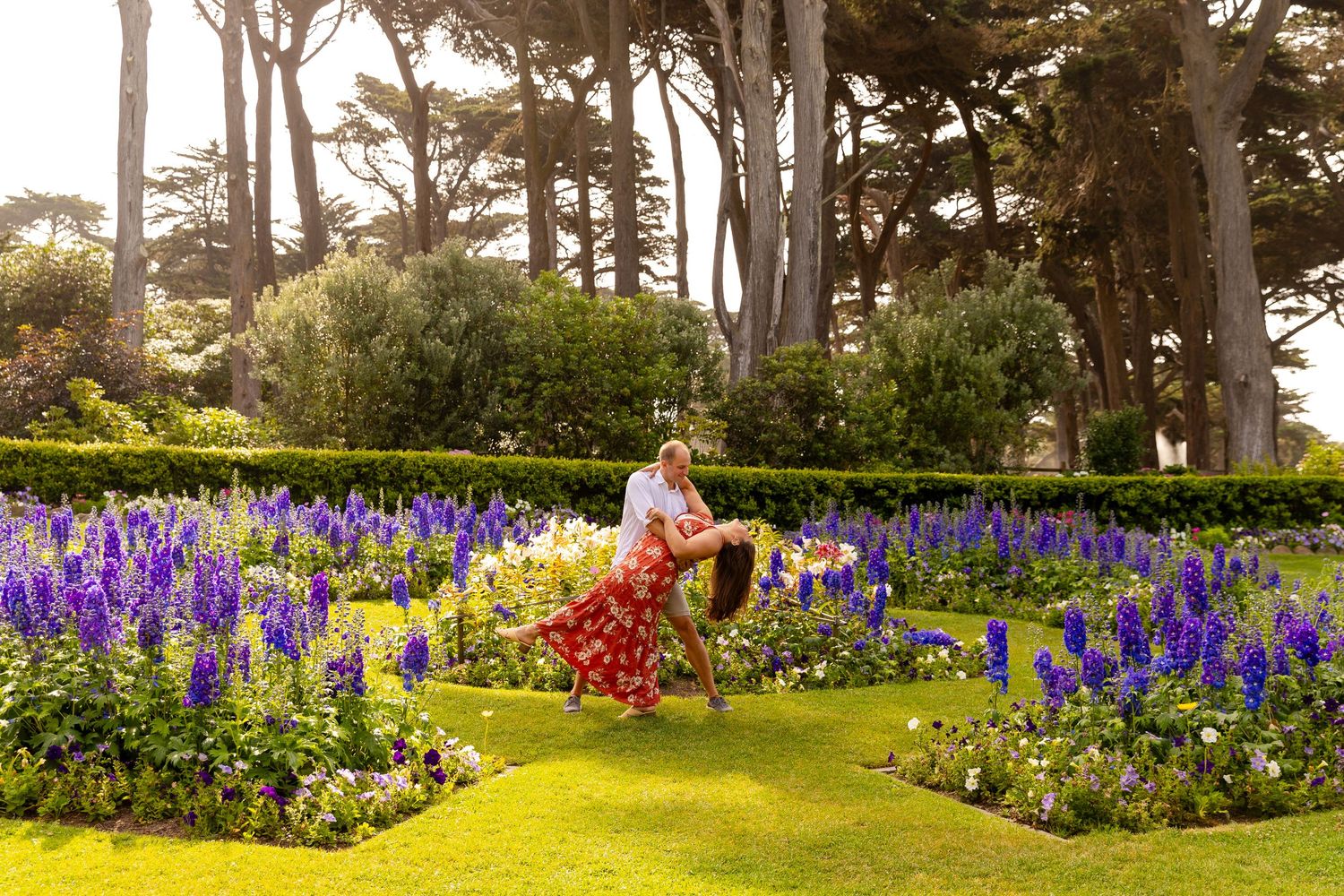 A colorful garden path lined with vibrant purple delphiniums and red flowers in bloom at a coastal park.