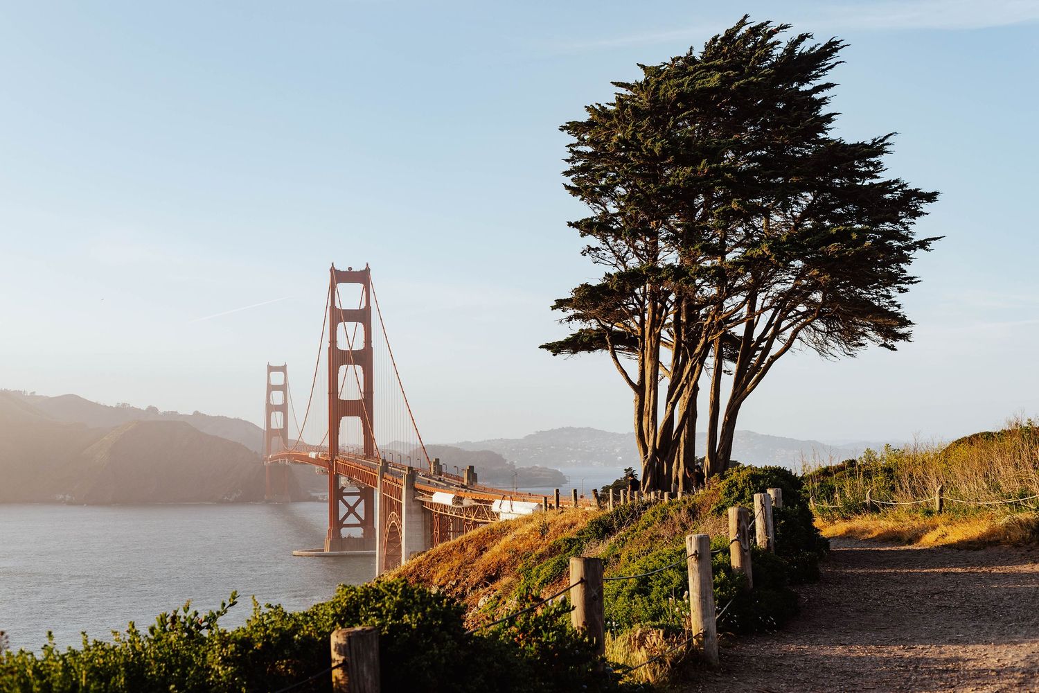 Travel and landscape photograph of Golden Gate Bridge framed by cypress trees during sunset in San Francisco California.