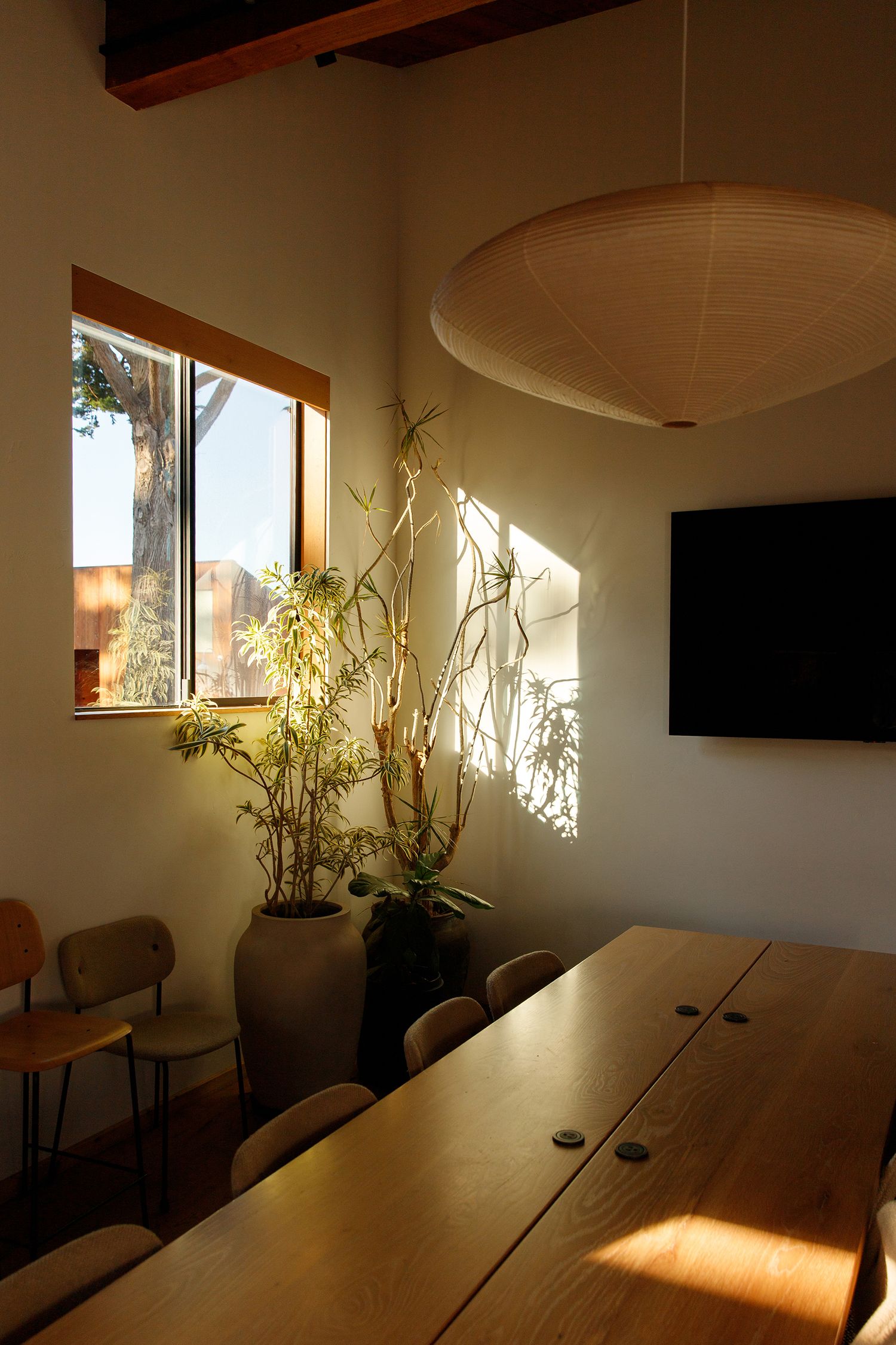 Warm sunlit dining room with wooden table, pendant light, potted plants, and wall-mounted TV near a wood-framed window.