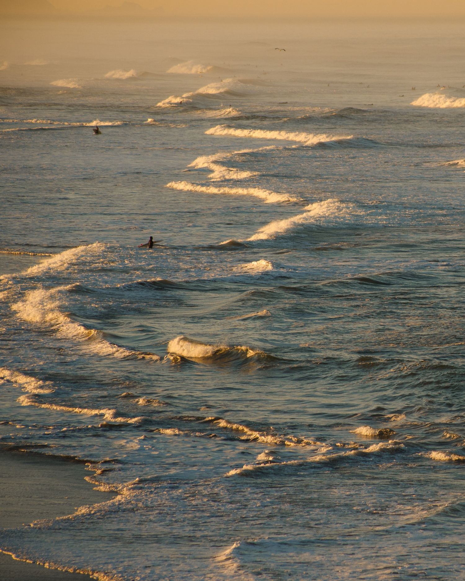 Golden hour waves crash on a sandy beach at sunset, with a lone surfer visible in the warm, glowing ocean waters.