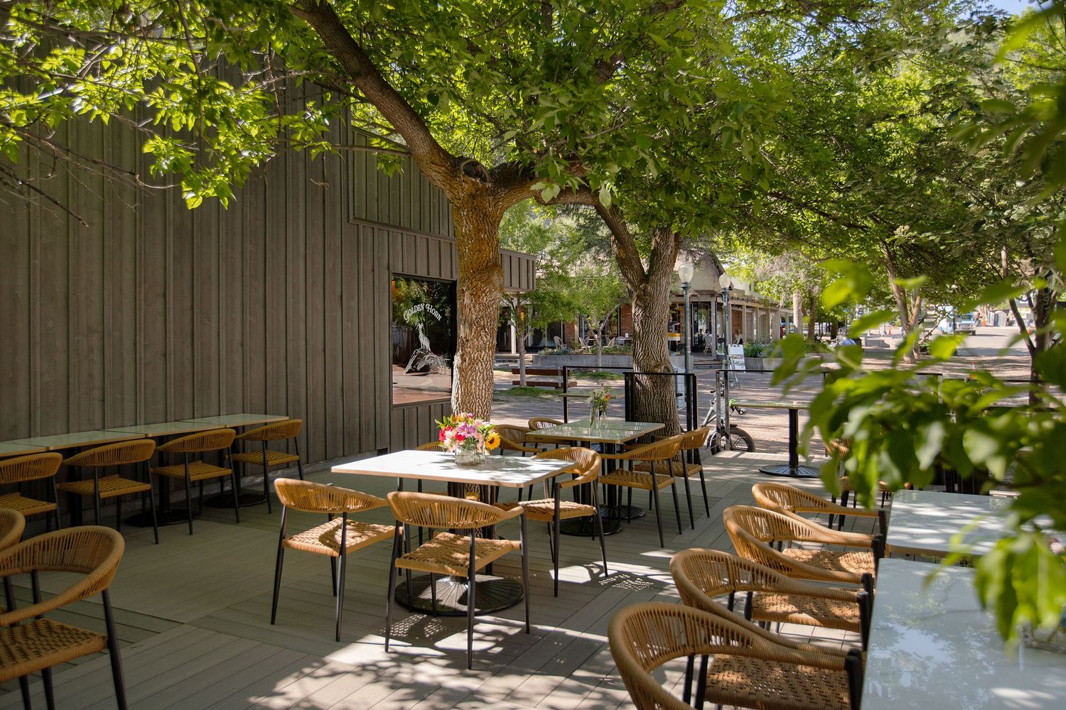 Shaded outdoor patio dining area with wicker chairs, square tables, and mature trees providing natural canopy at a restaurant.