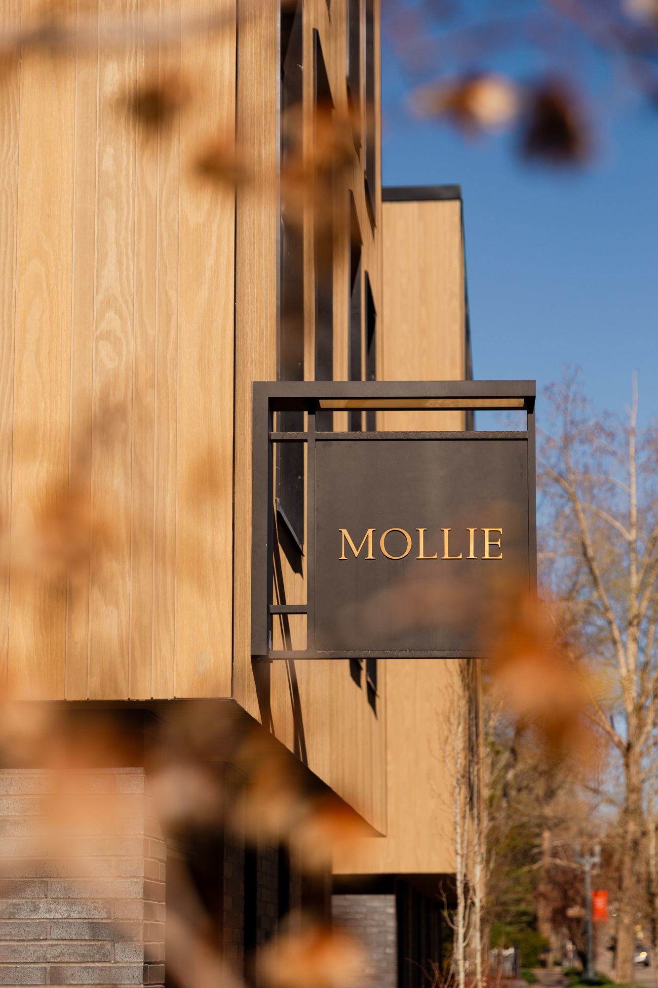 Mollie hotel exterior sign mounted on warm wood facade with blue sky background.