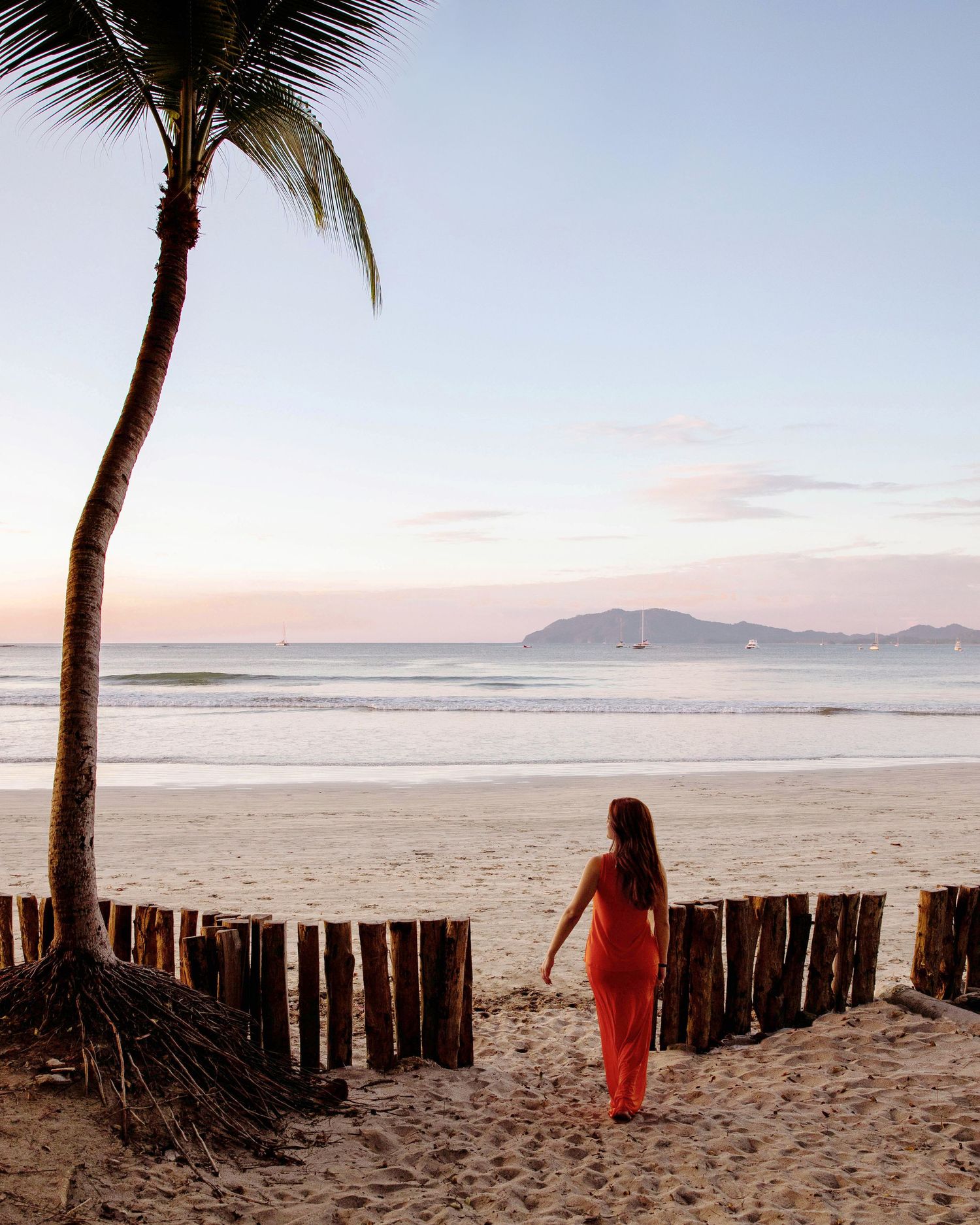 Serene beach scene with palm trees and wooden fence posts at sunset.