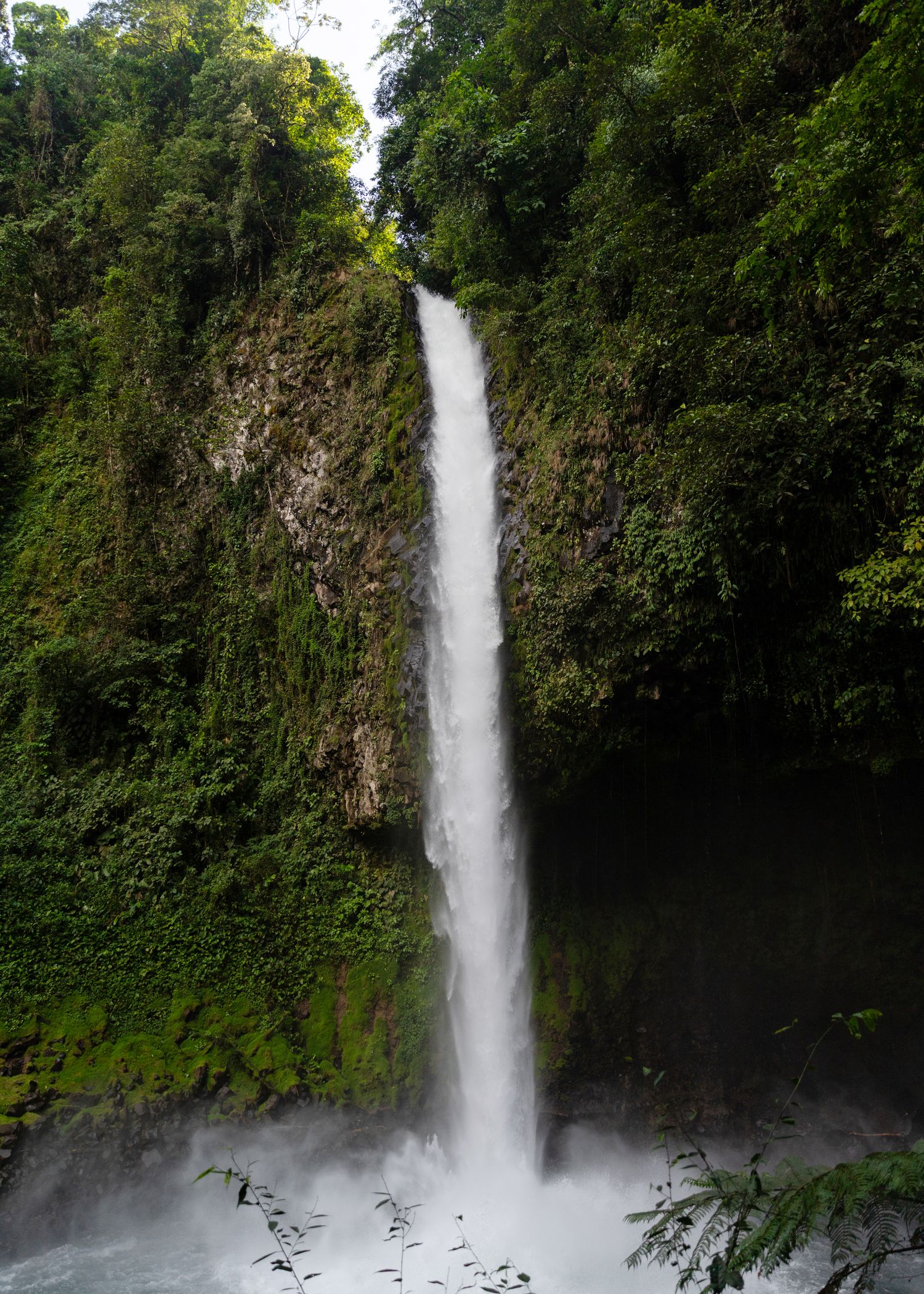 Editorial travel landscape image of all cascading waterfall flows down a lush green cliff face in a tropical forest setting.