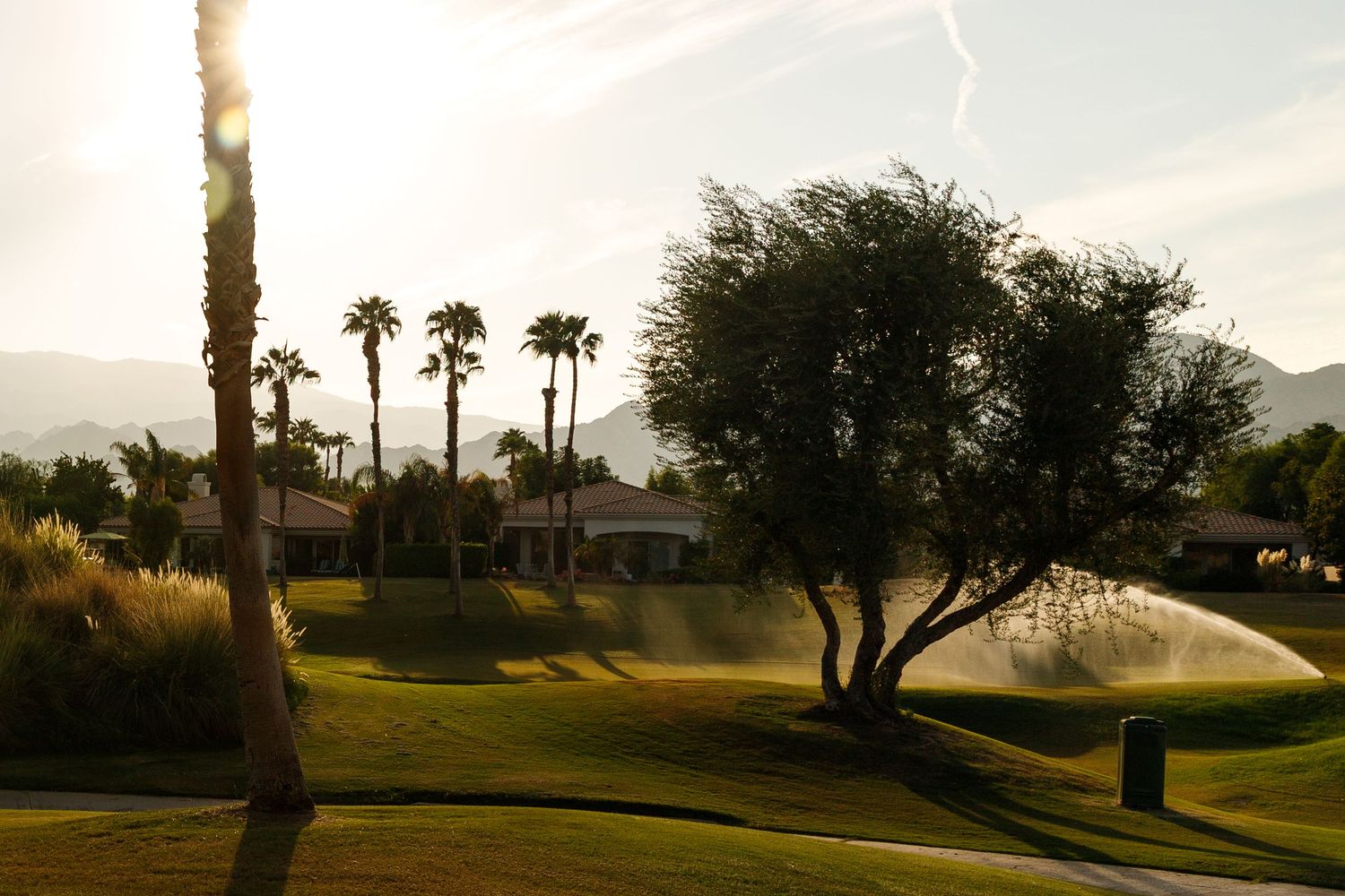 Lush green golf course with palm trees, sprinklers, and mountain backdrop bathed in golden sunset light.