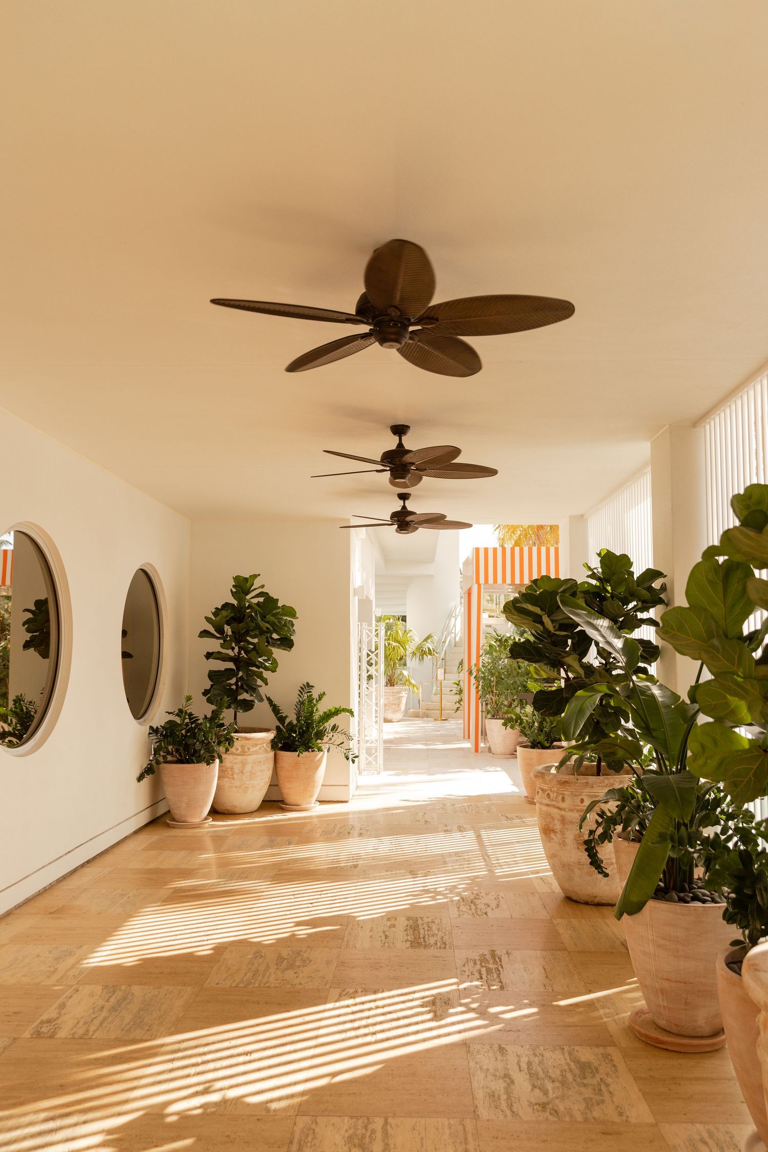 Bright sunlit hallway with potted plants and ceiling fans creating an airy tropical atmosphere. Luxury interior photography in Denver.