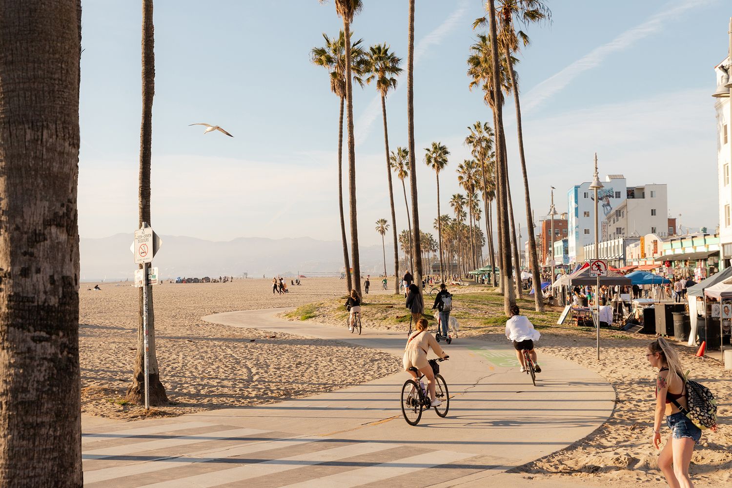 People cycling and walking along Venice Beach boardwalk with tall palm trees and sandy beach on a sunny day.