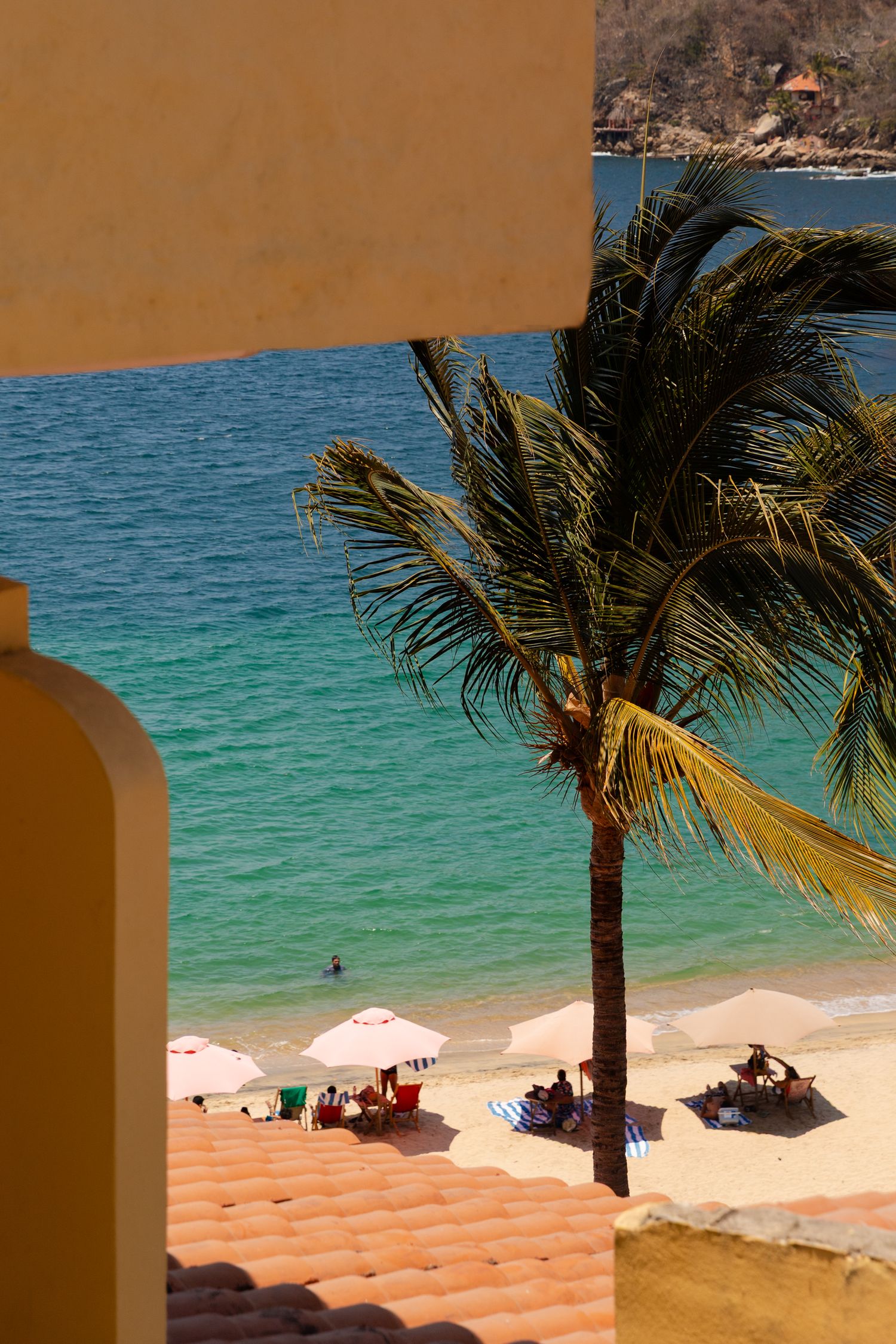 Beachfront view with palm trees and orange terracotta roof tiles overlooking turquoise waters.