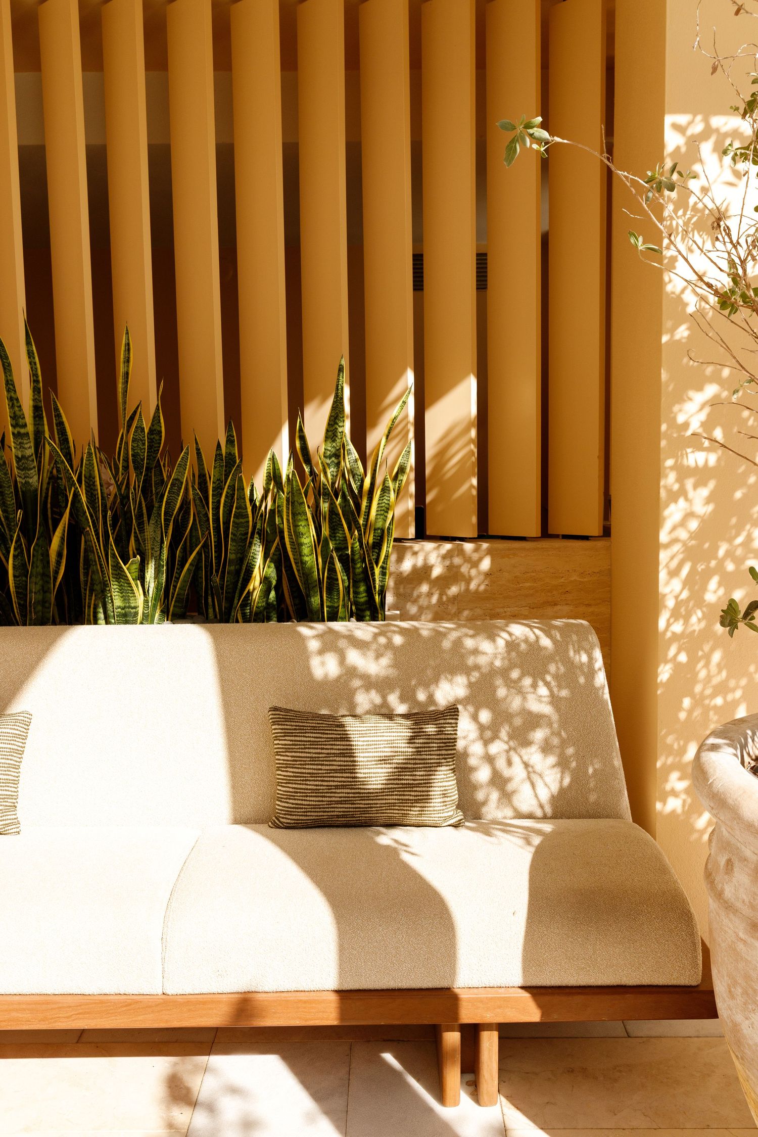 Outdoor patio sofa with striped pillow, snake plants, and wooden slat screen in warm sunlight.