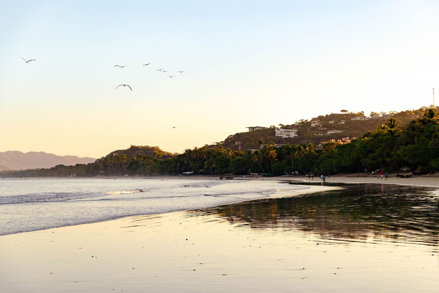 Scenic beach sunset with birds flying over coastline and hillside homes in the distance.