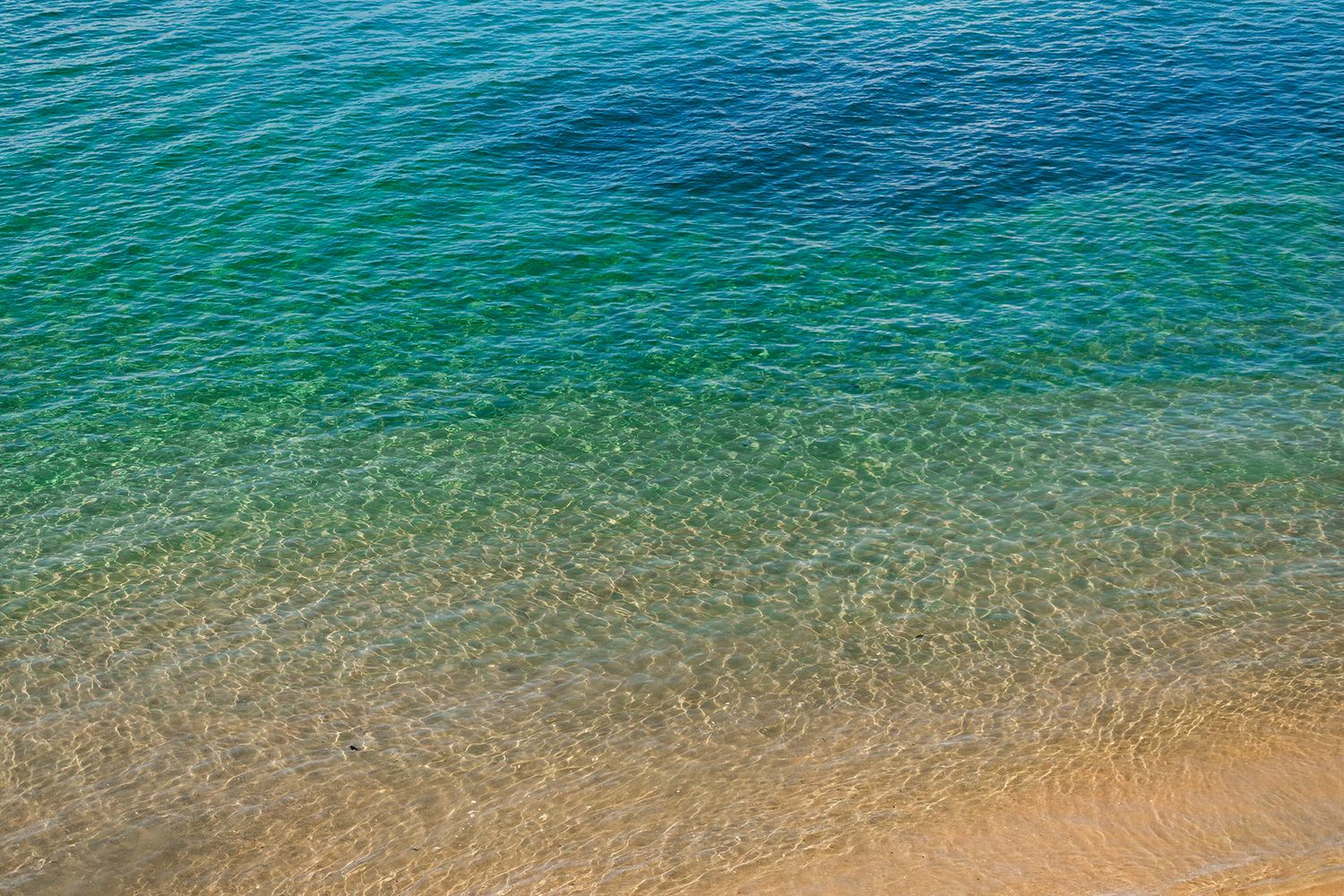 Crystal clear turquoise ocean water gently washing onto a sandy beach shore in a tropical paradise.