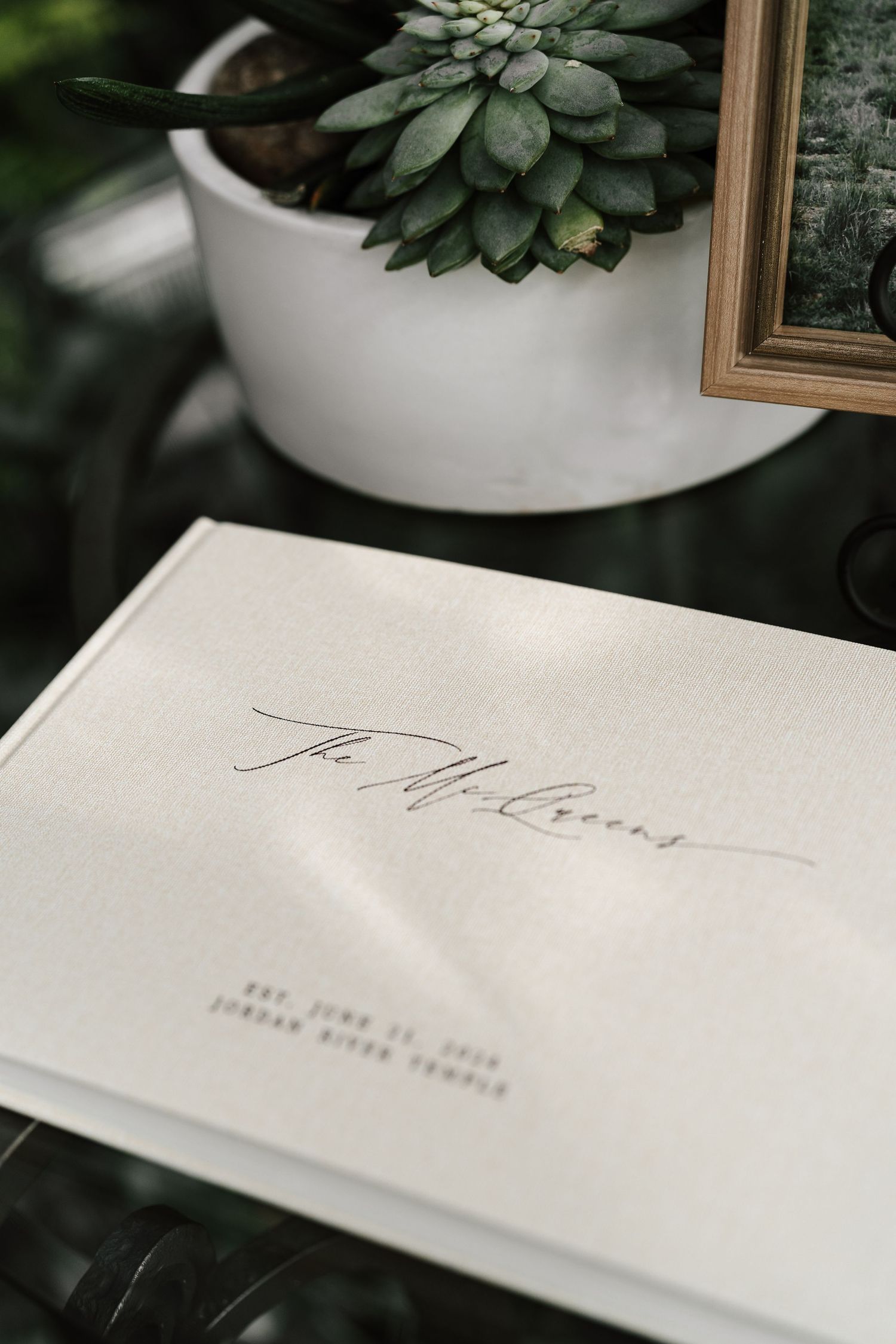 Elegant signature on white paper next to a potted succulent plant.
